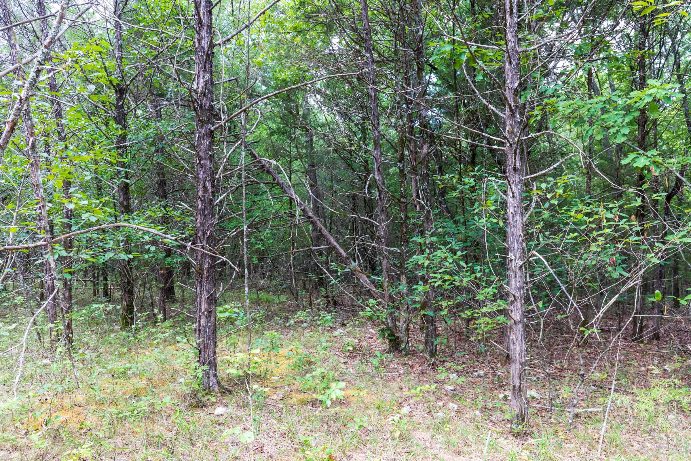 Heritage Bend Tract 34 photo 16