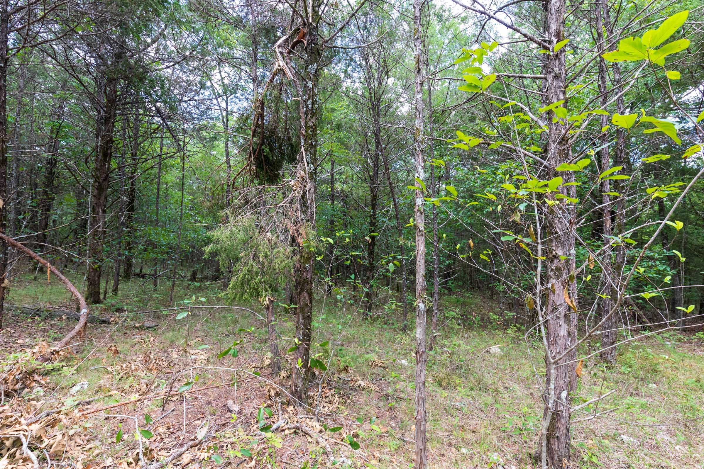Heritage Bend Tract 34 photo 18