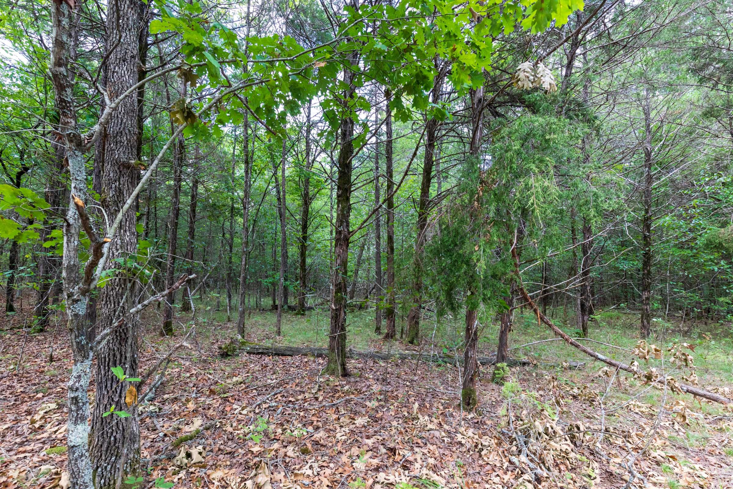 Heritage Bend Tract 34 photo 19