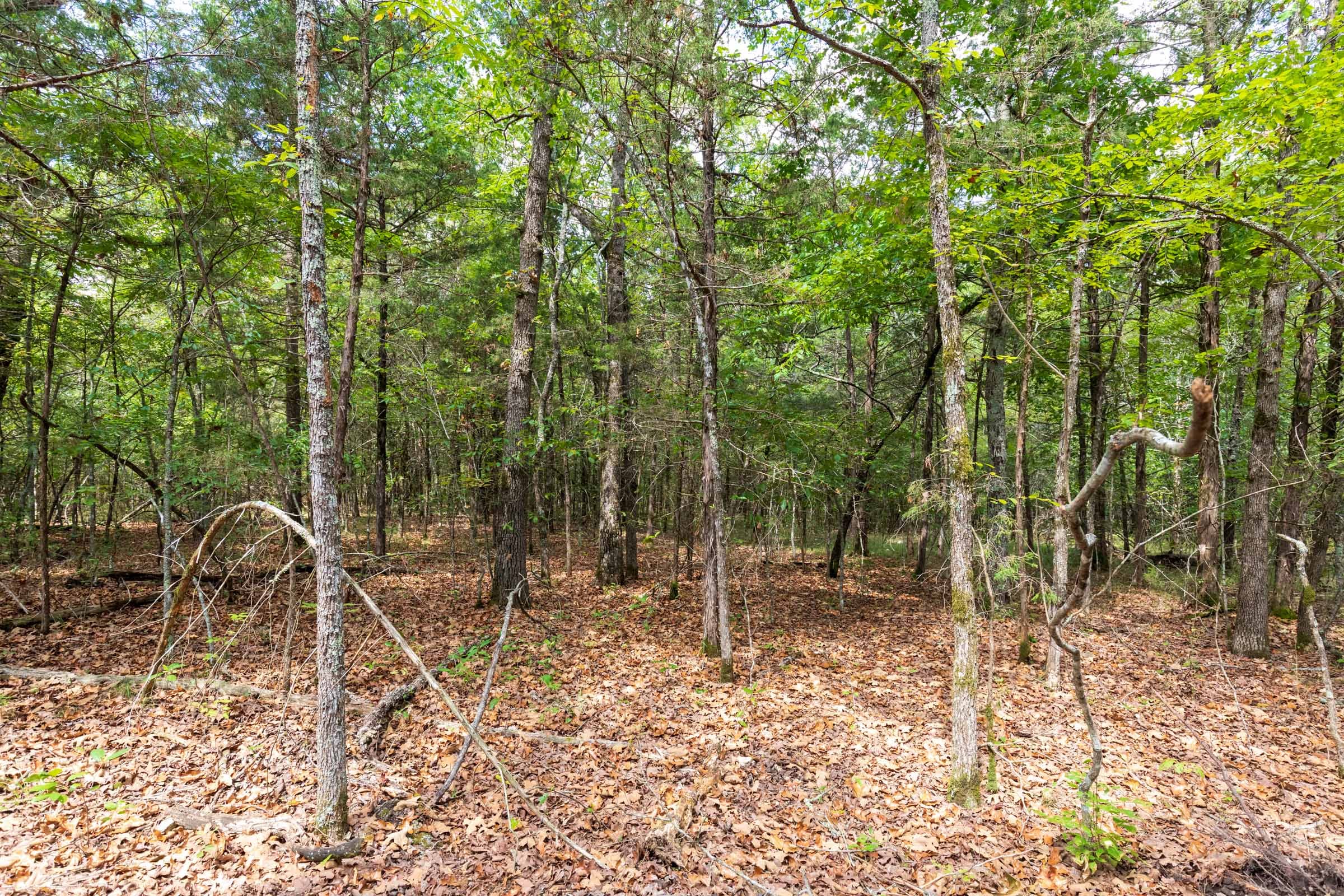Heritage Bend Tract 34 photo 3