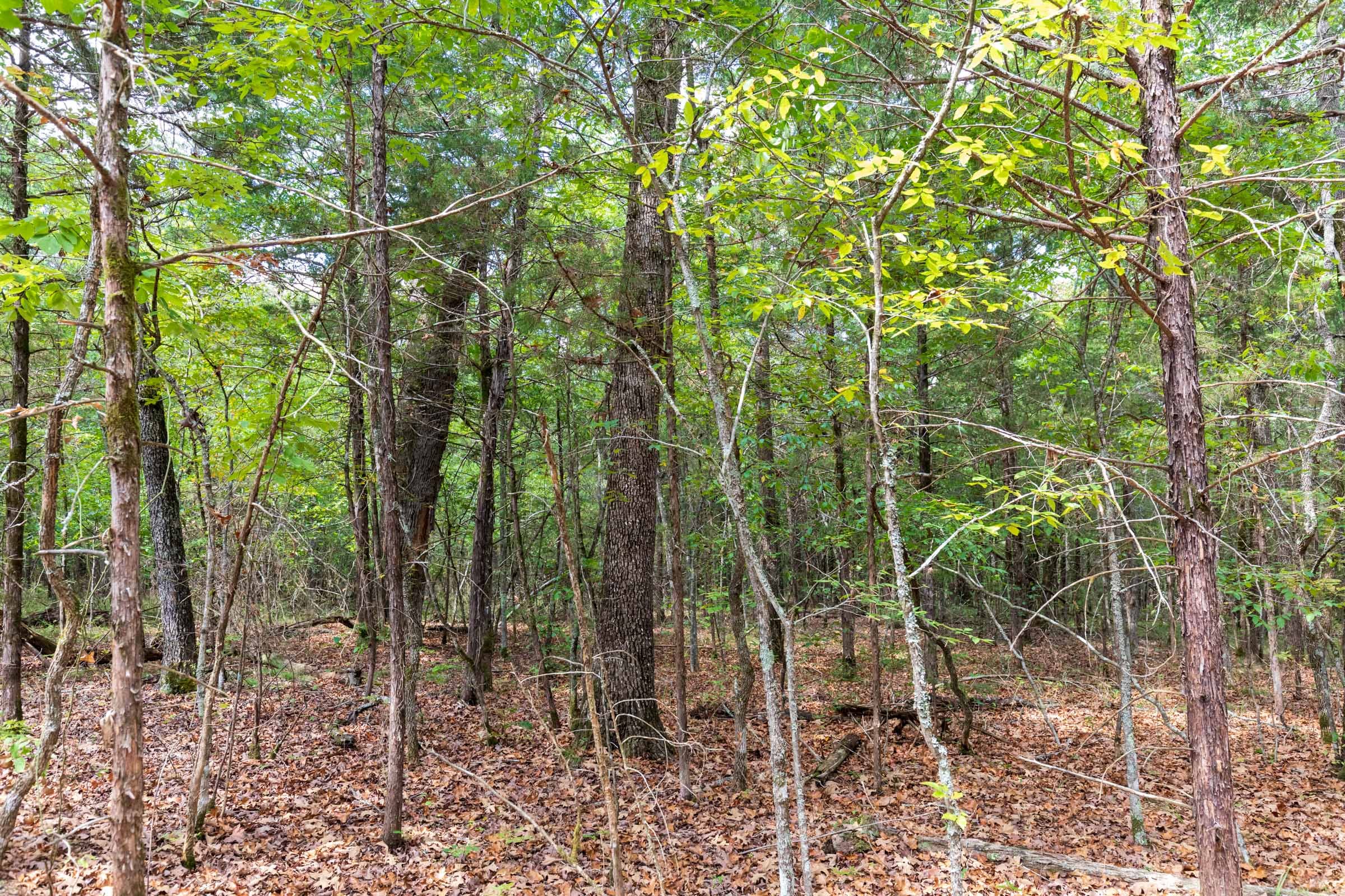 Heritage Bend Tract 34 photo 6