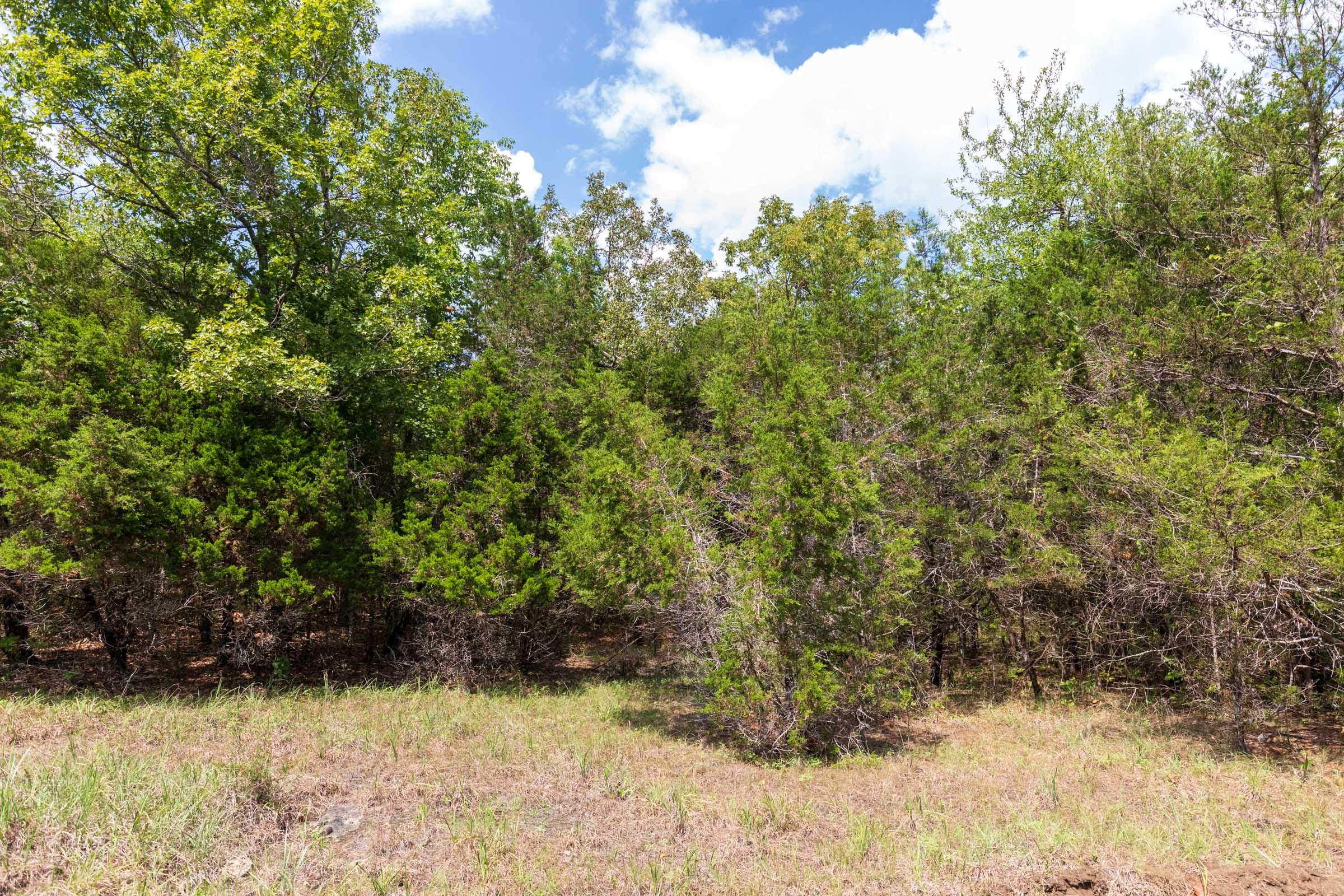 Heritage Bend Tract 34 photo 4