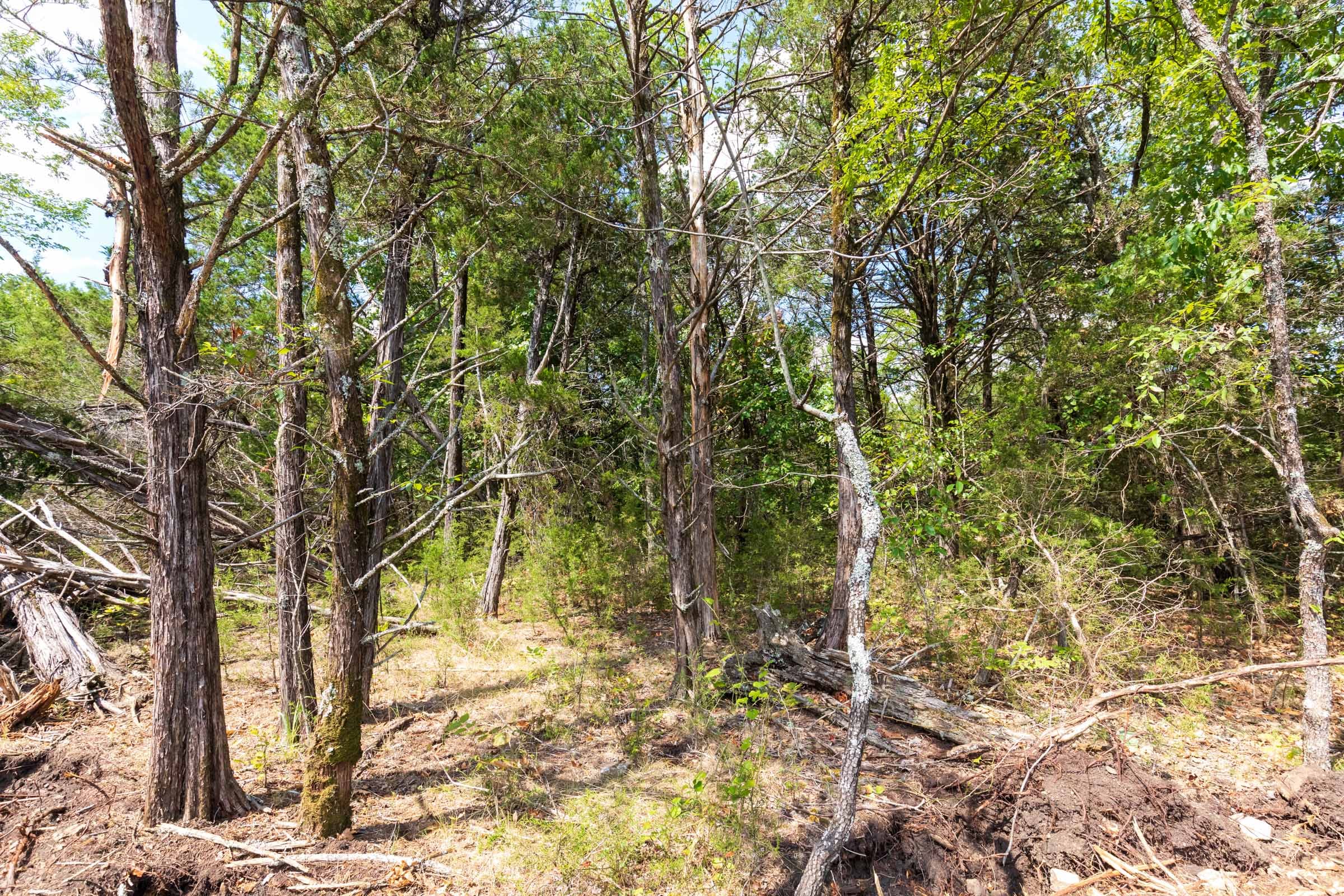 Heritage Bend Tract 34 photo 5