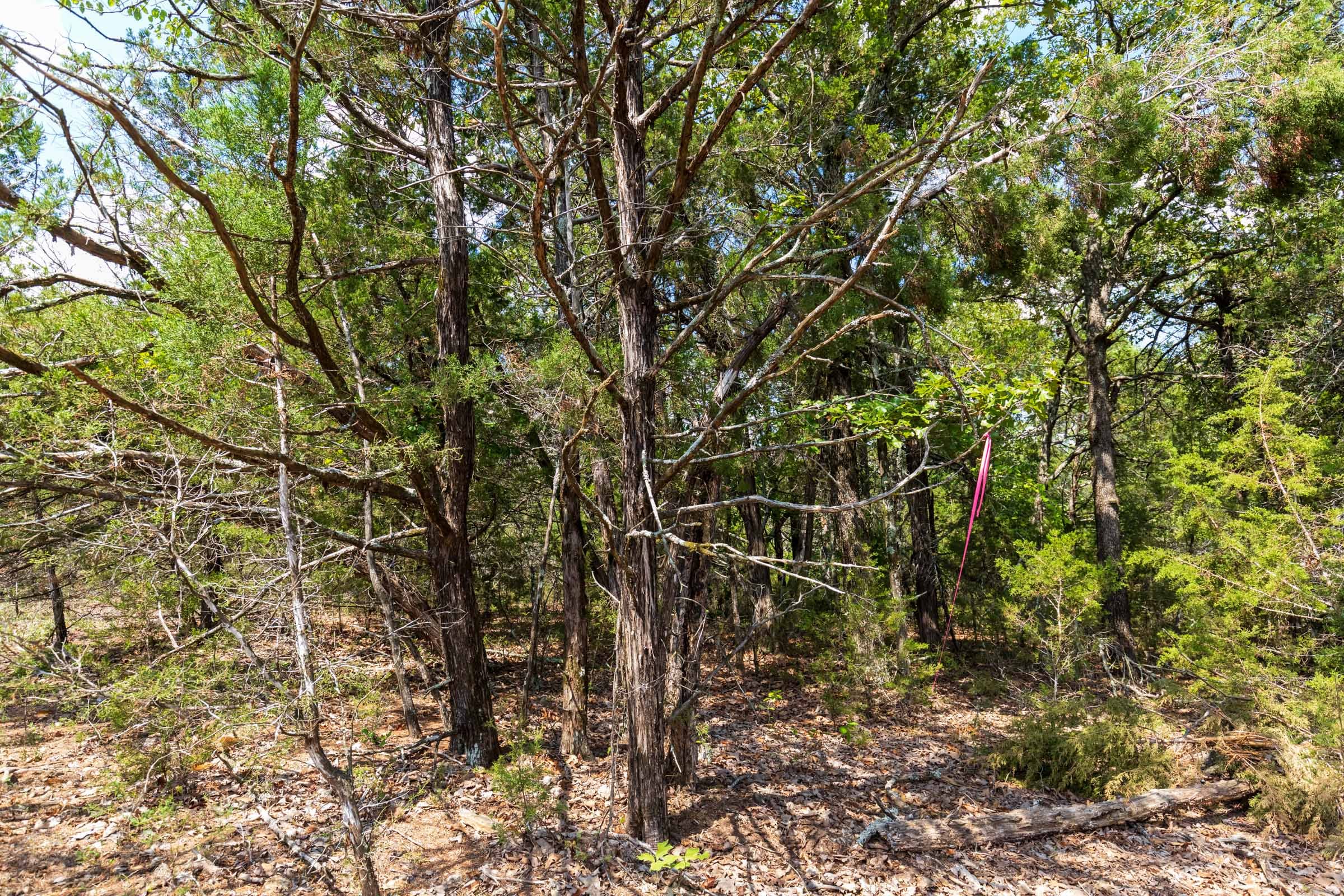 Heritage Bend Tract 34 photo 9