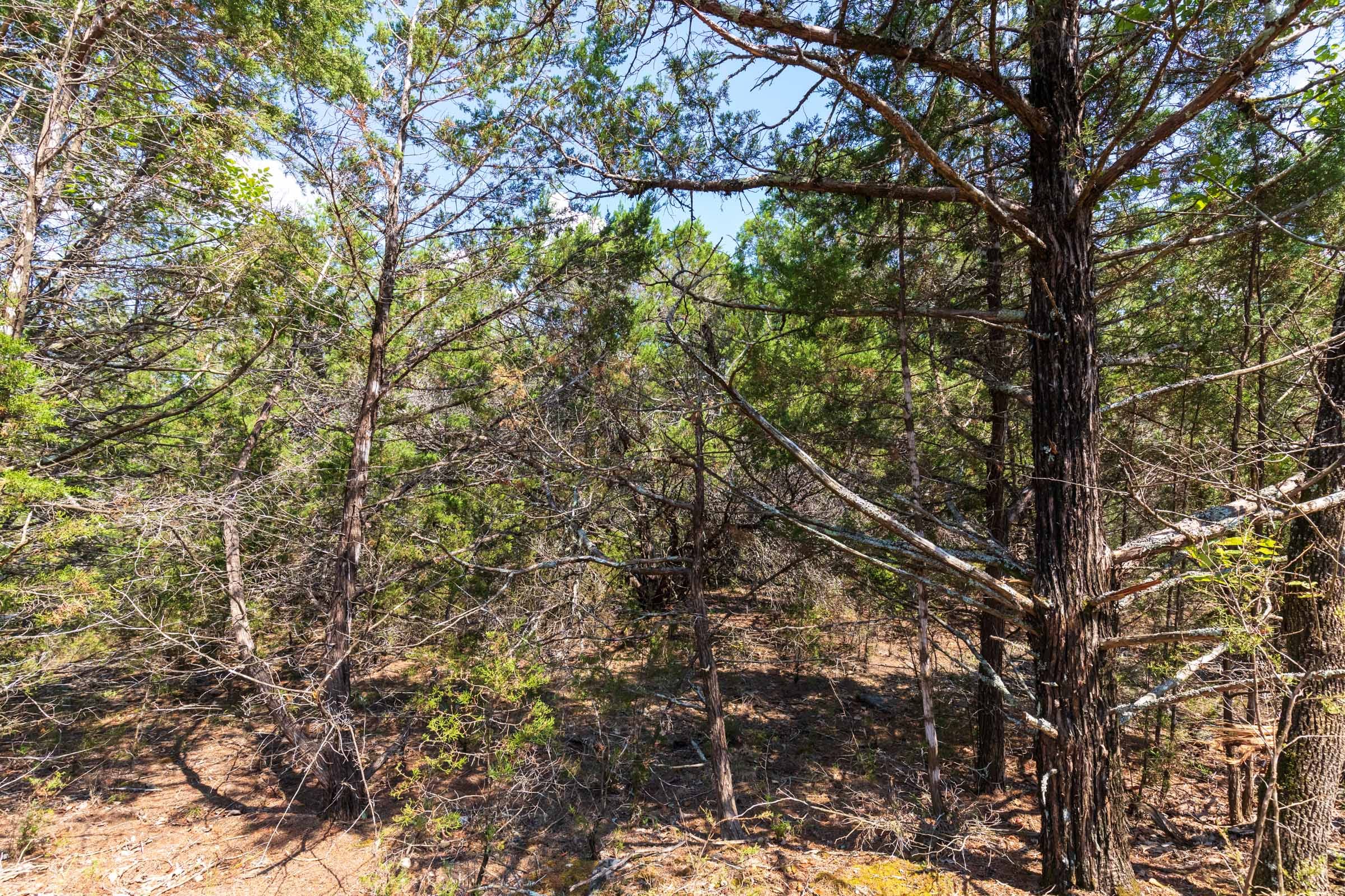 Heritage Bend Tract 34 photo 11