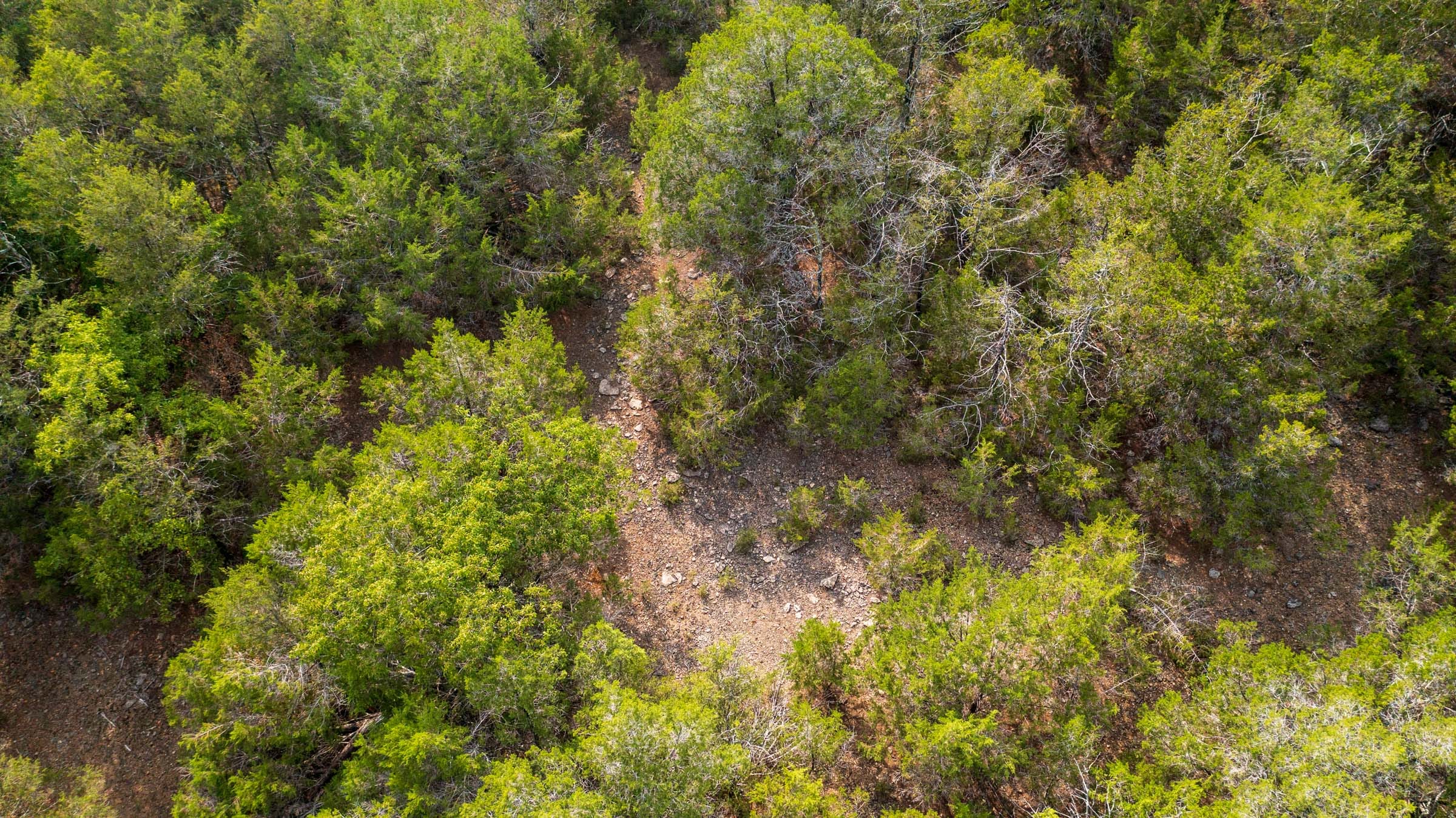 Heritage Bend Tract 34 photo 7