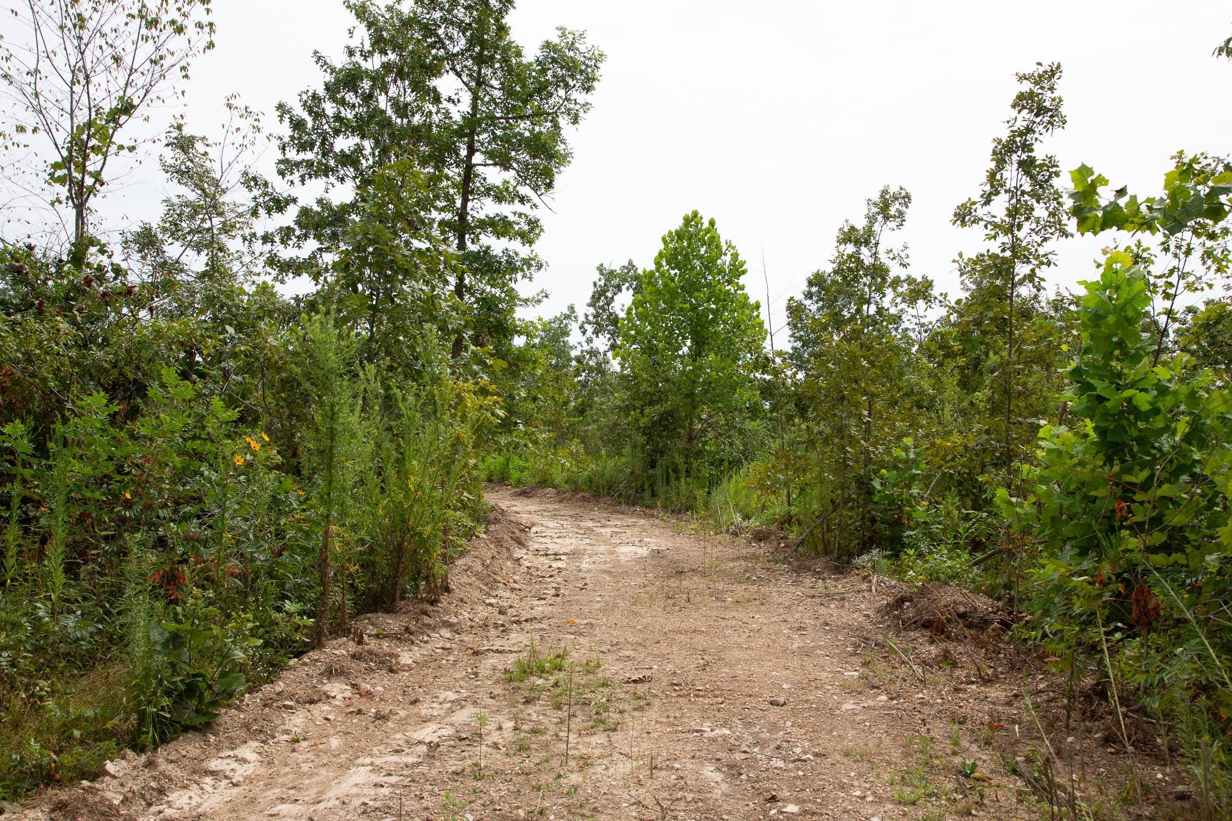 Borgmann’s Hollow Phase II Tract 46 photo 1