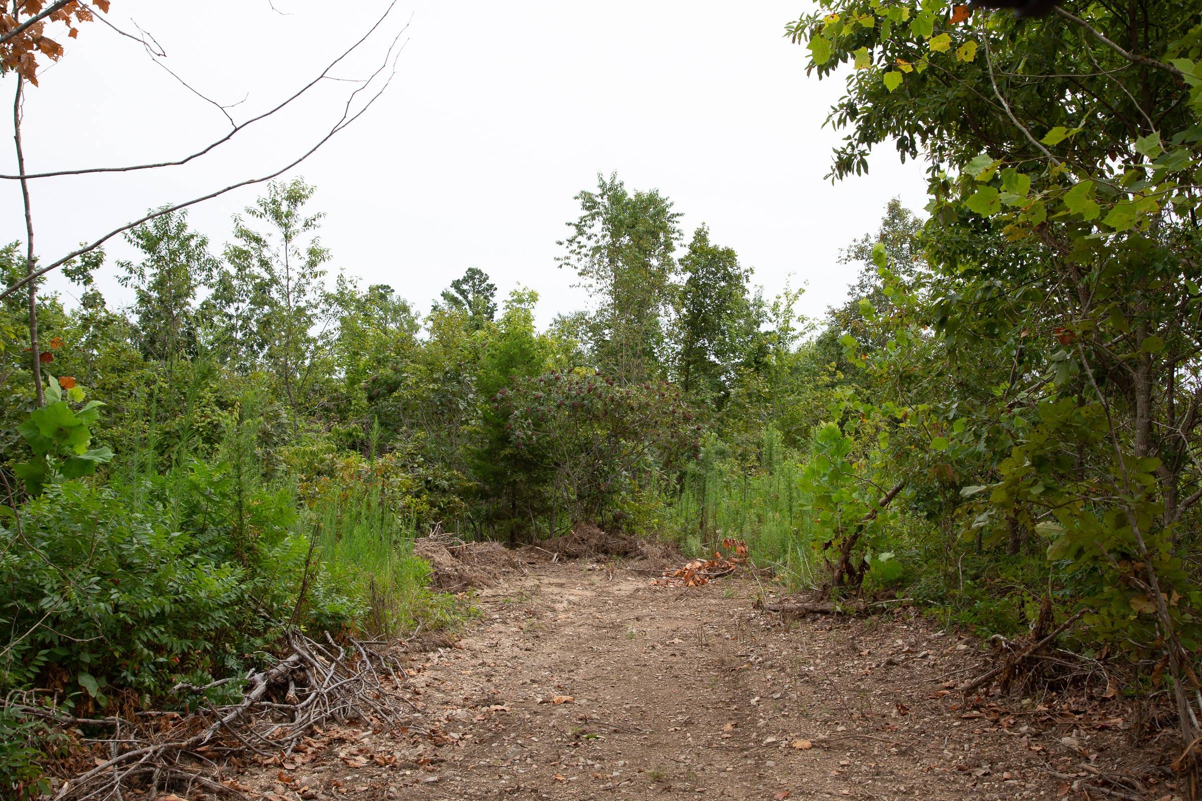 Borgmann’s Hollow Phase II Tract 46 photo 11