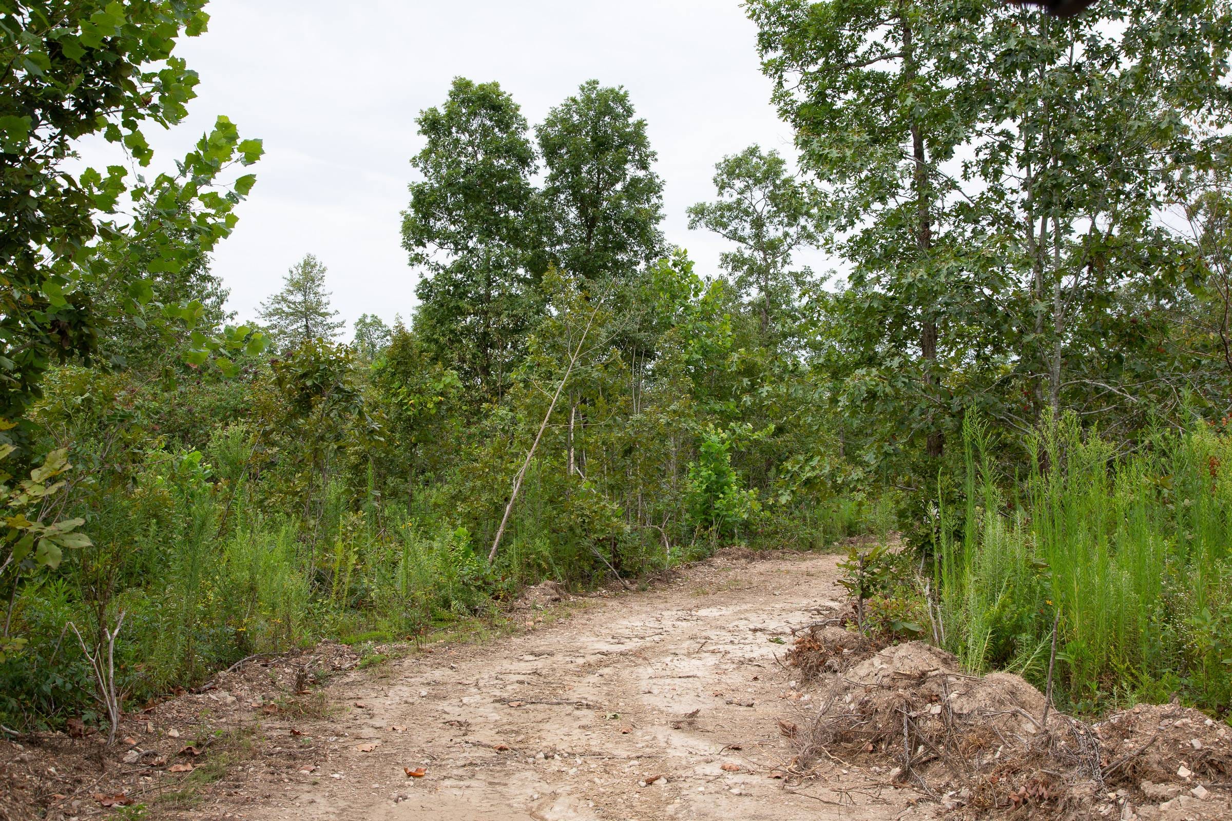 Borgmann’s Hollow Phase II Tract 46 photo 6