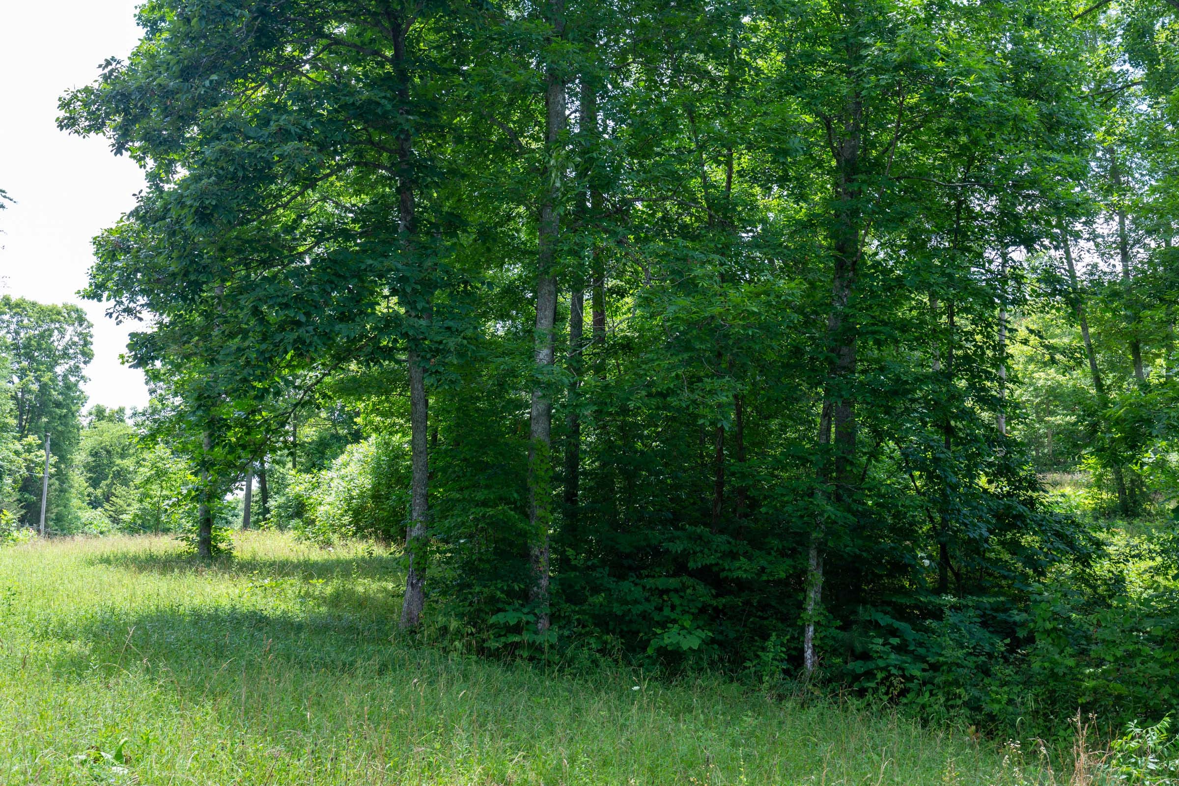 Tucker Hollow Tract 6 photo 14