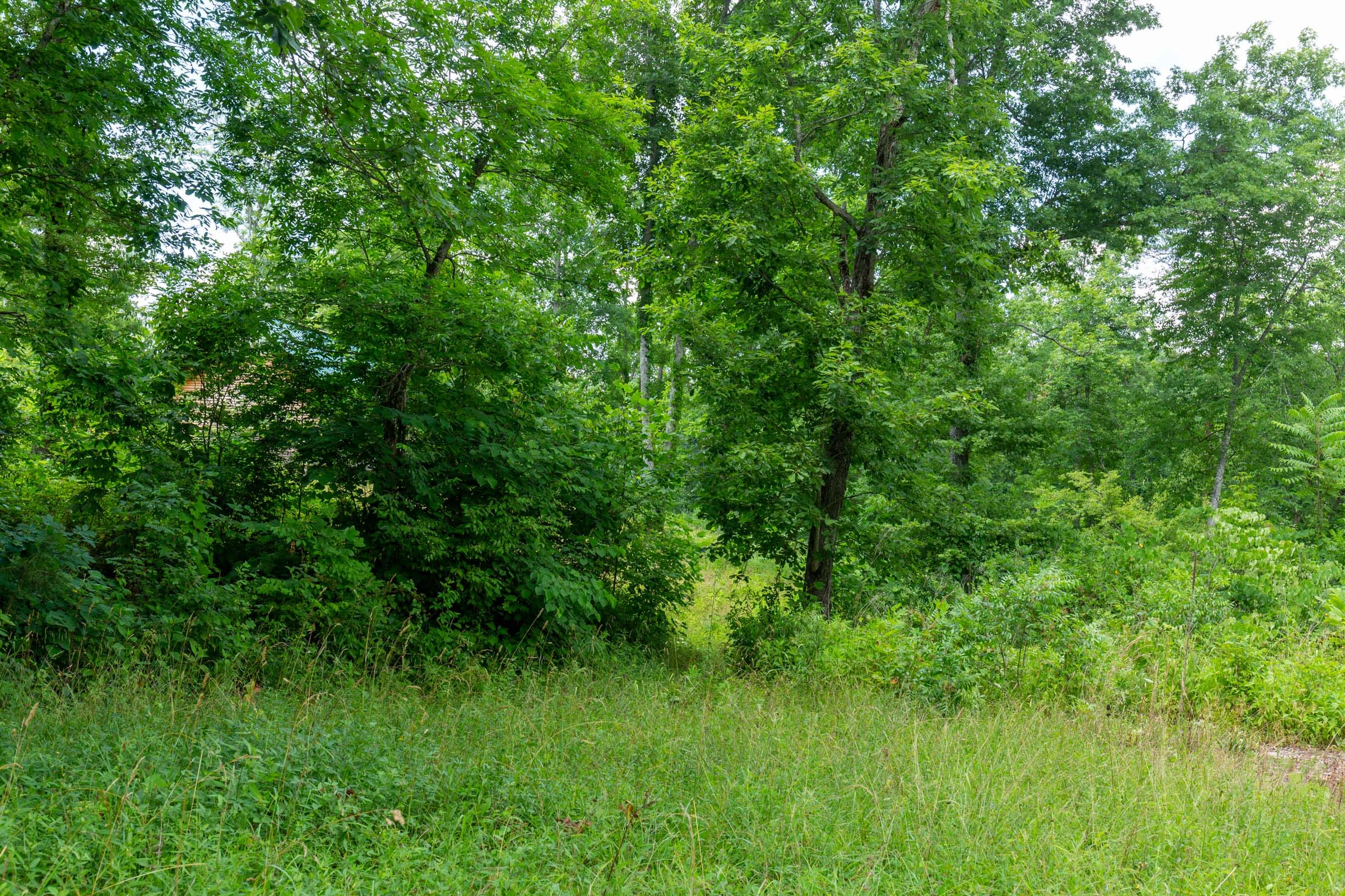 Tucker Hollow Tract 6 photo 18