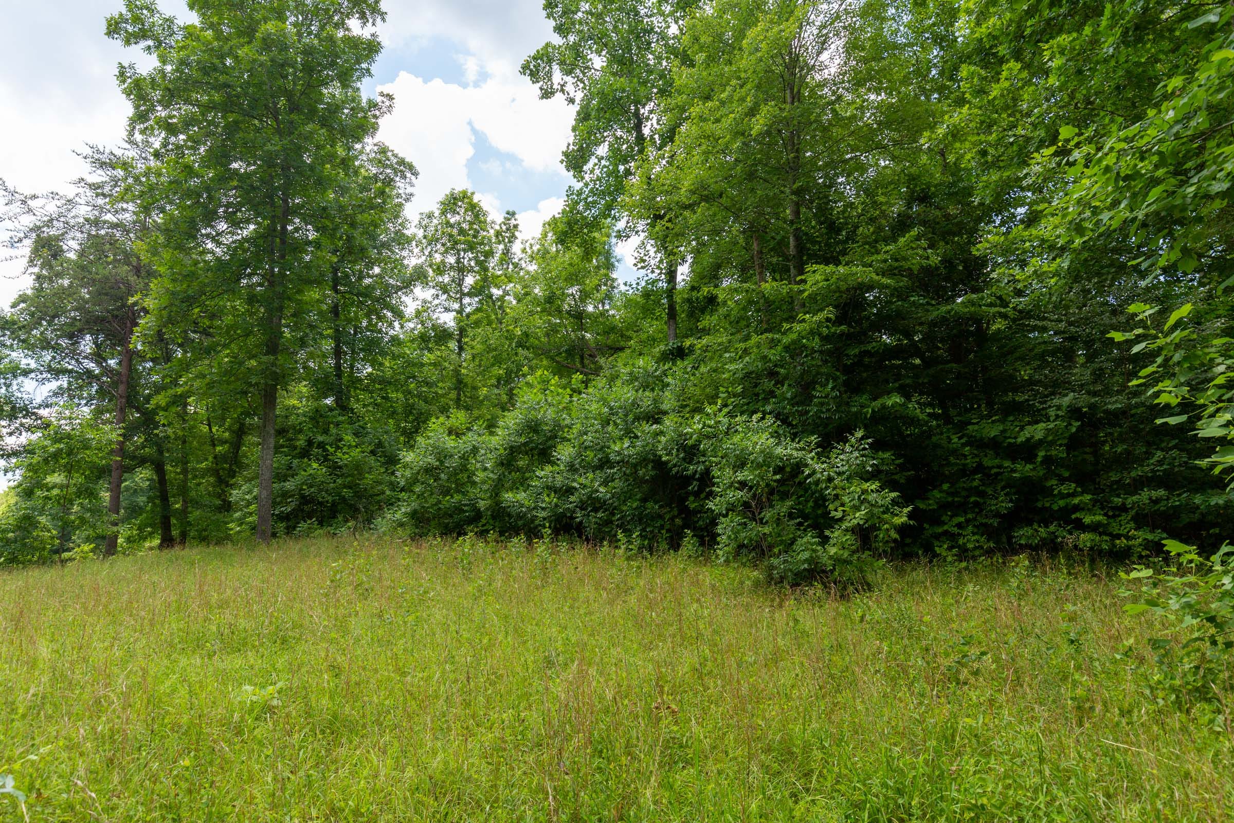 Tucker Hollow Tract 6 photo 21