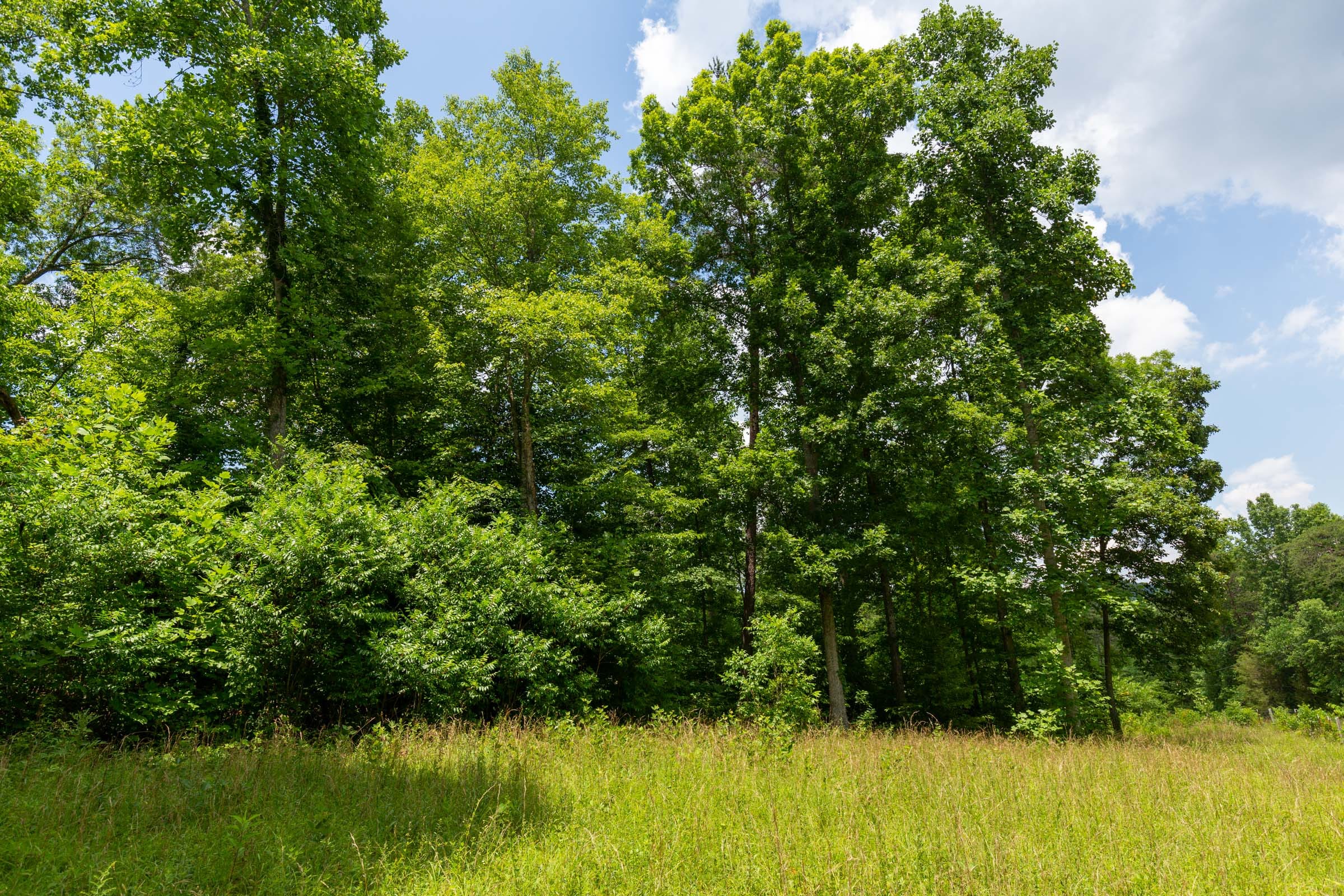 Tucker Hollow Tract 6 photo 25
