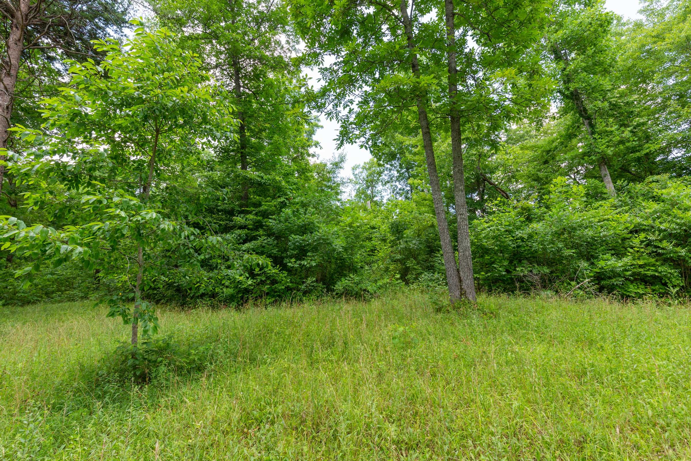 Tucker Hollow Tract 6 photo 26