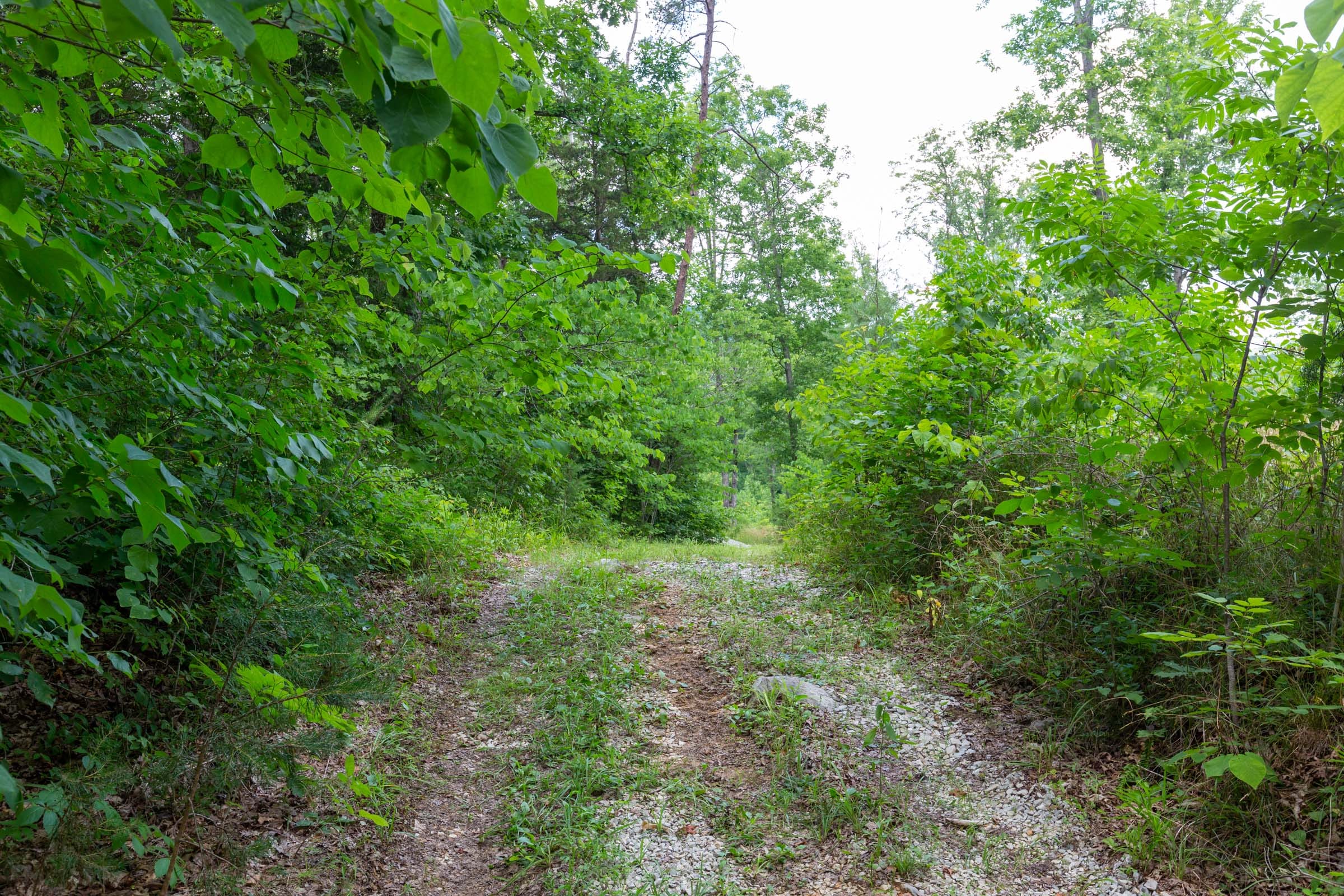 Tucker Hollow Tract 6 photo 7