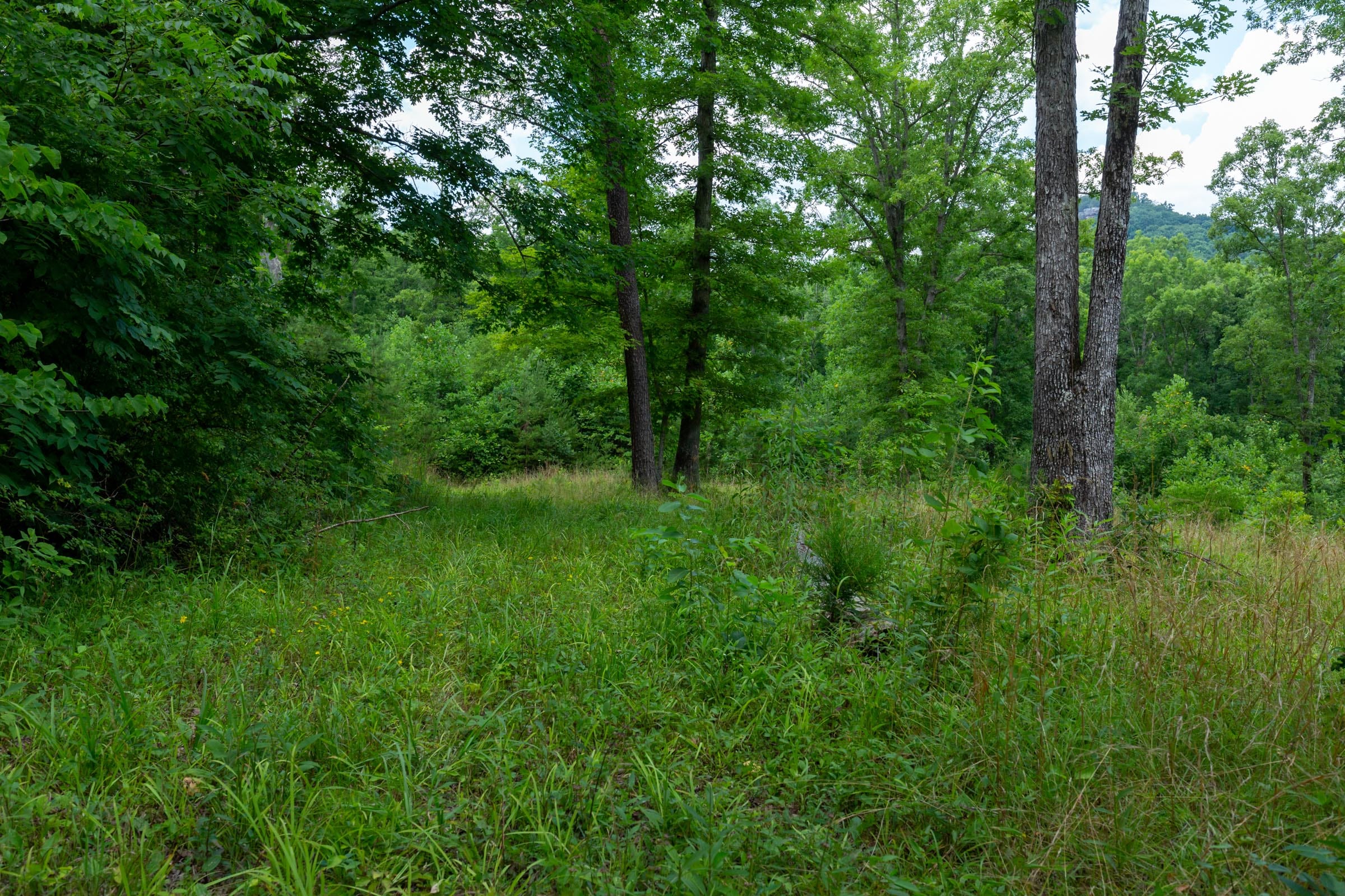 Tucker Hollow Tract 6 photo 27