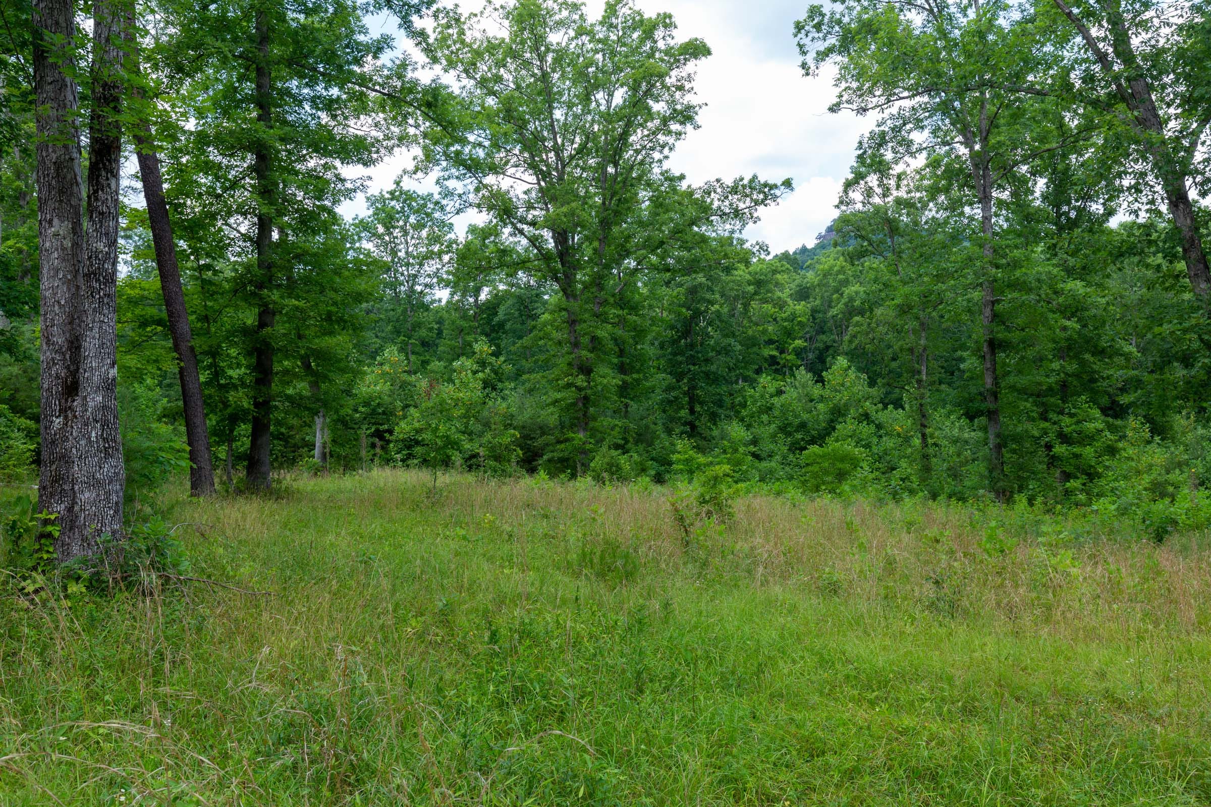 Tucker Hollow Tract 6 photo 28