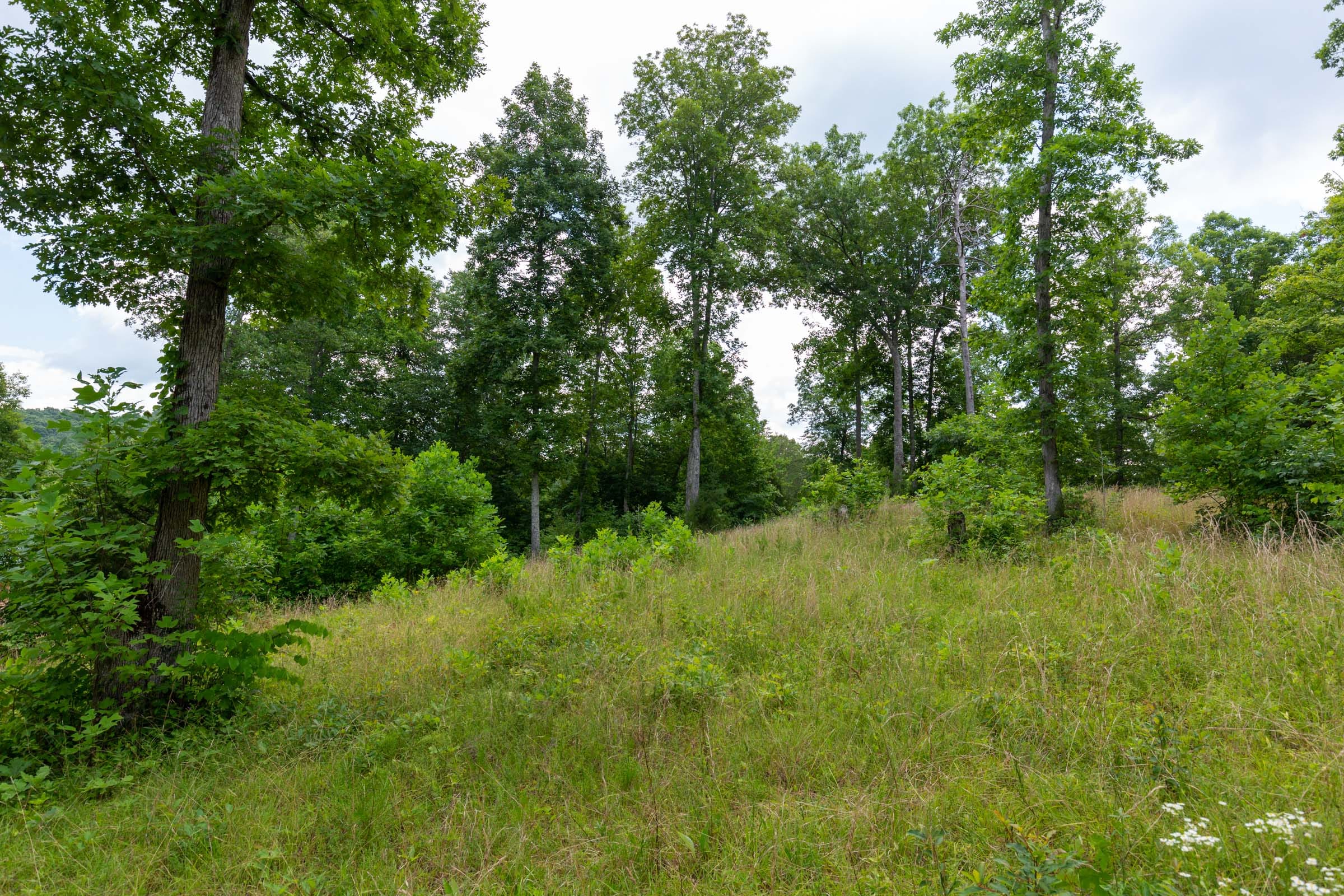 Tucker Hollow Tract 6 photo 29
