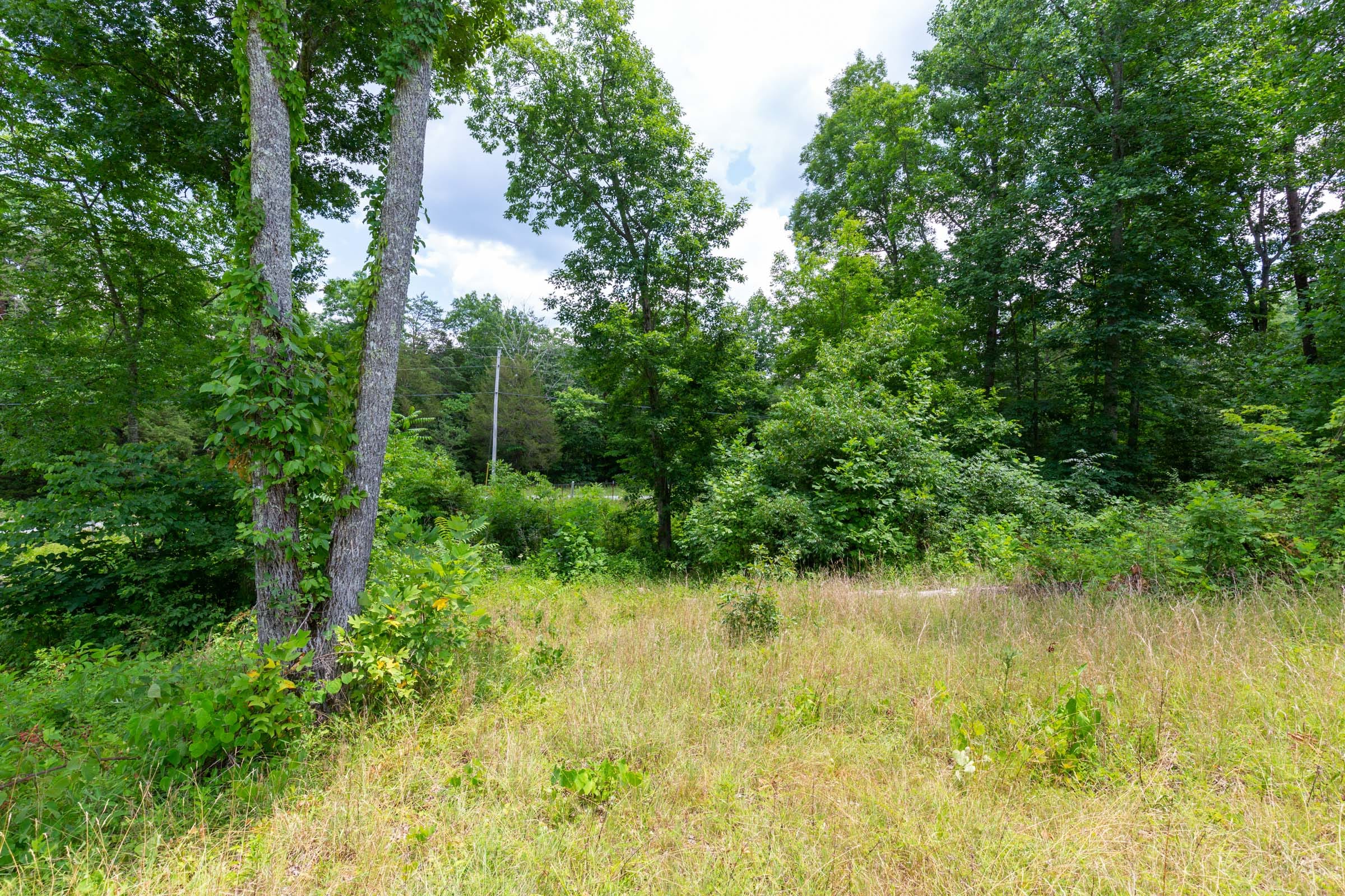 Tucker Hollow Tract 6 photo 31