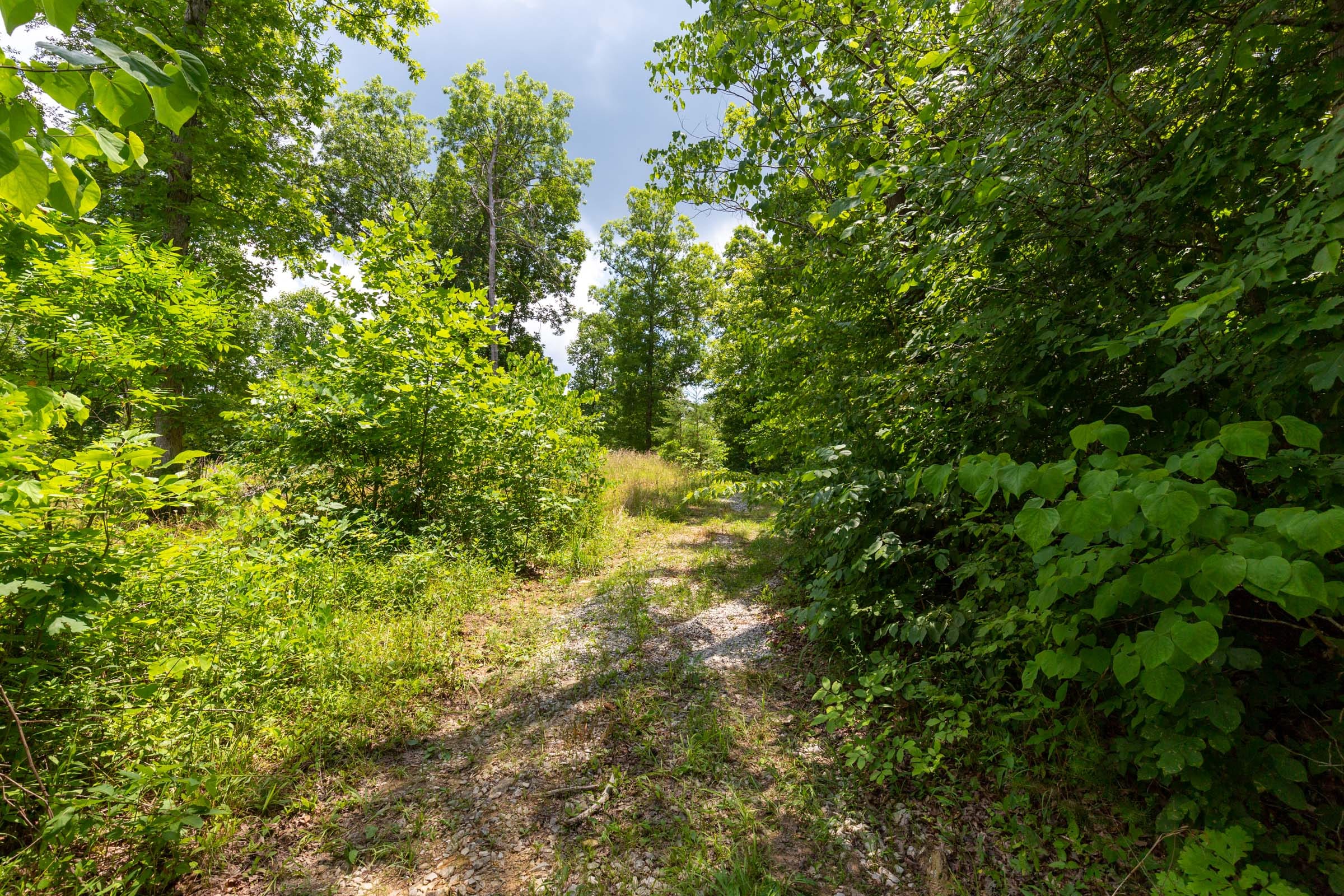Tucker Hollow Tract 6 photo 4