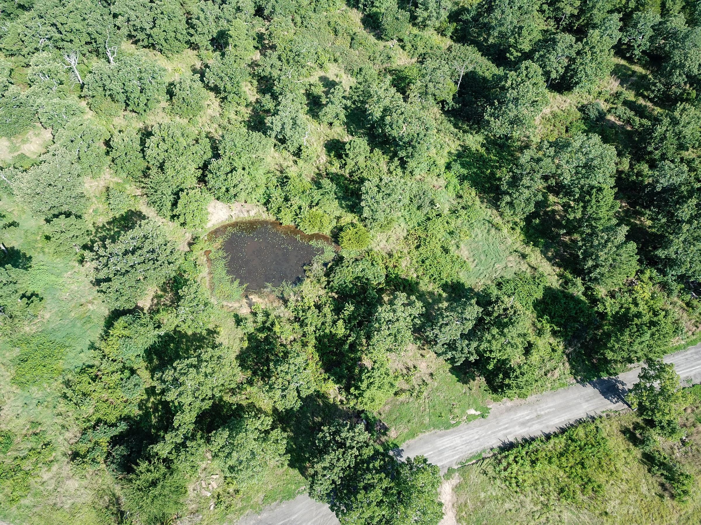 Tyler Stone Ranch Tract 27 photo 6
