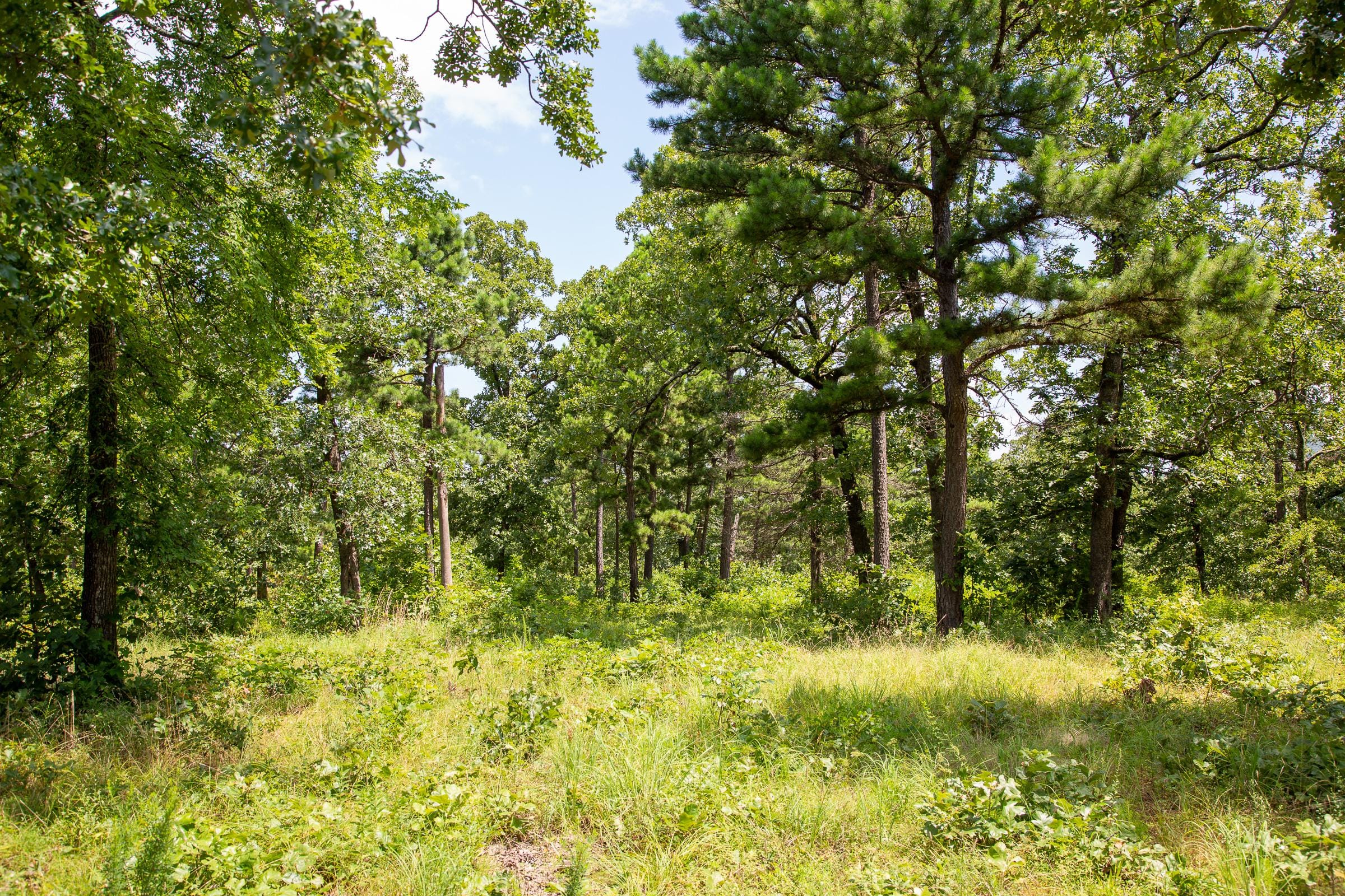 Tyler Stone Ranch Tract 27 photo 7