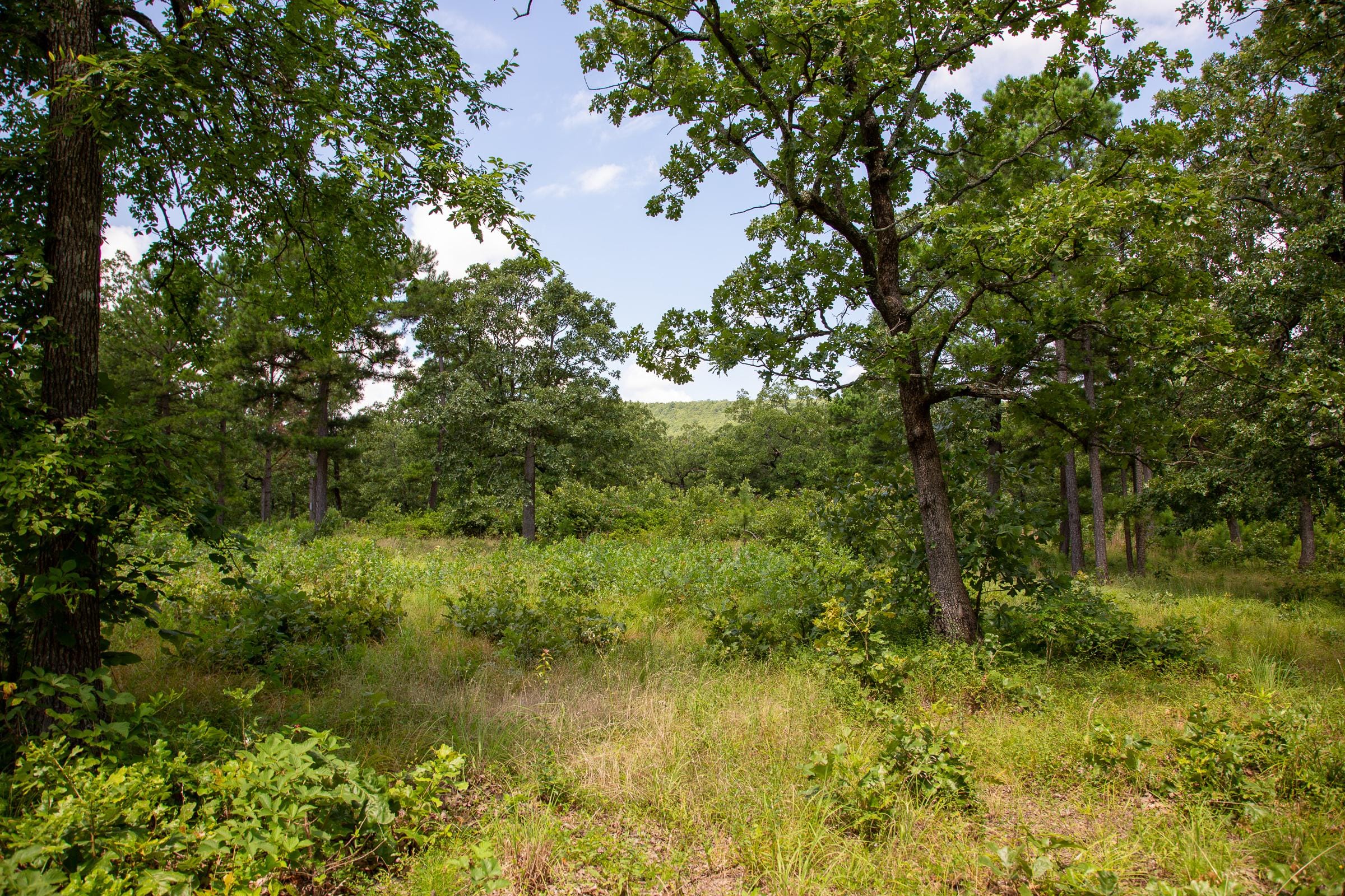 Tyler Stone Ranch Tract 27 photo 8
