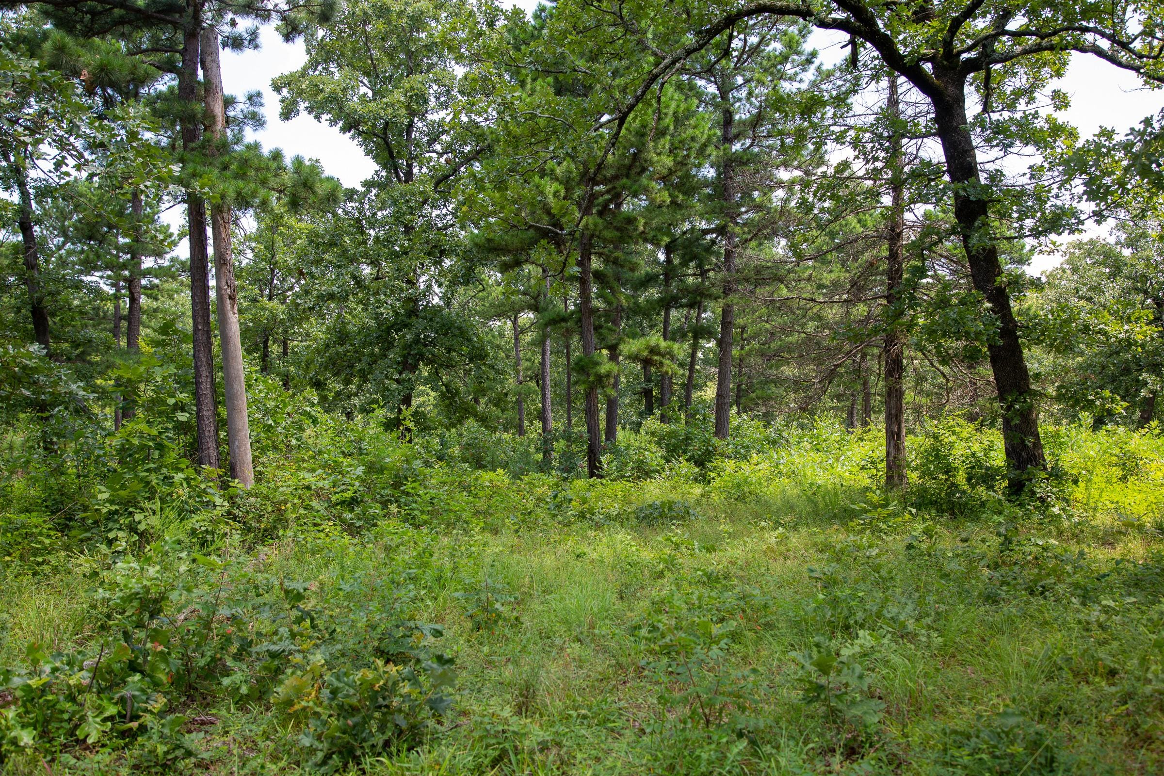 Tyler Stone Ranch Tract 27 photo 9