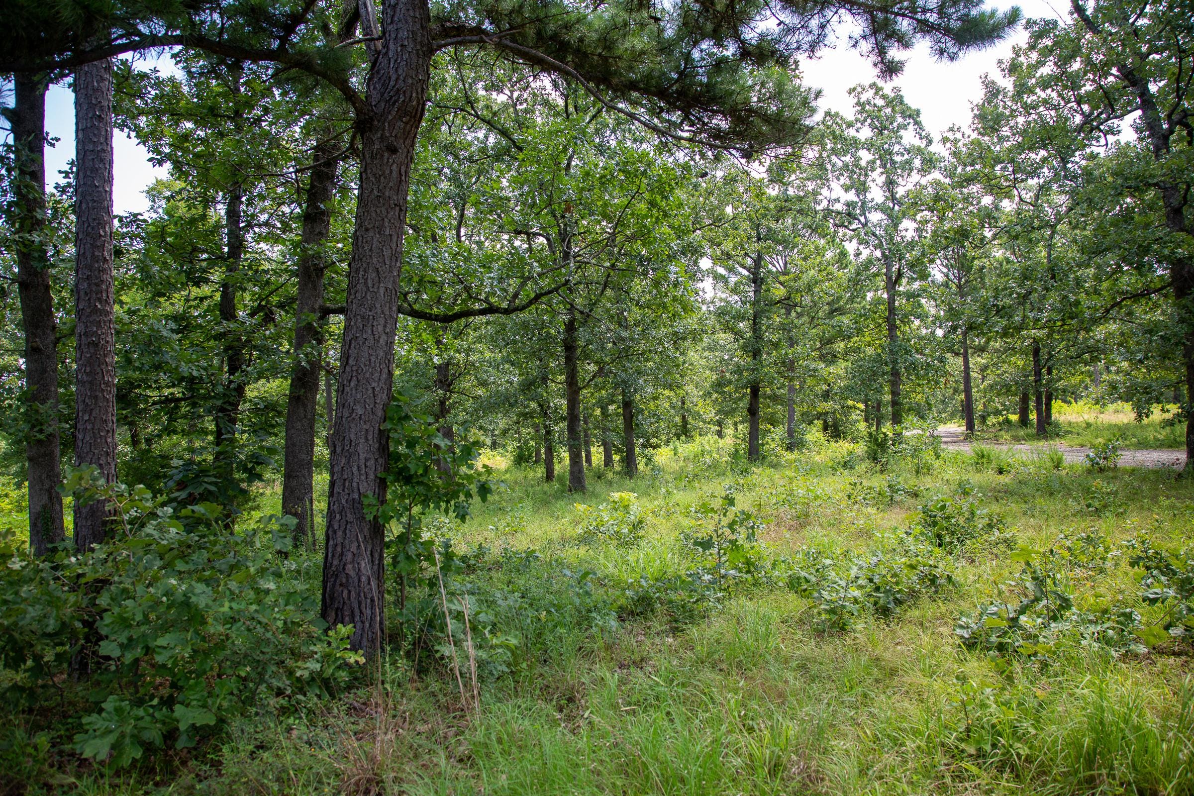 Tyler Stone Ranch Tract 27 photo 10