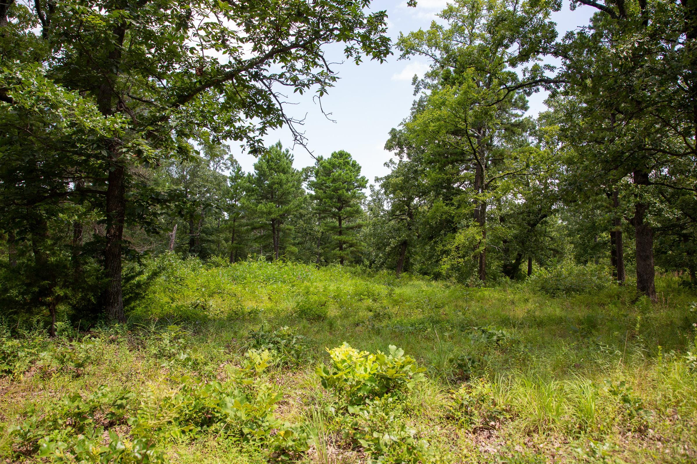 Tyler Stone Ranch Tract 27 photo 11