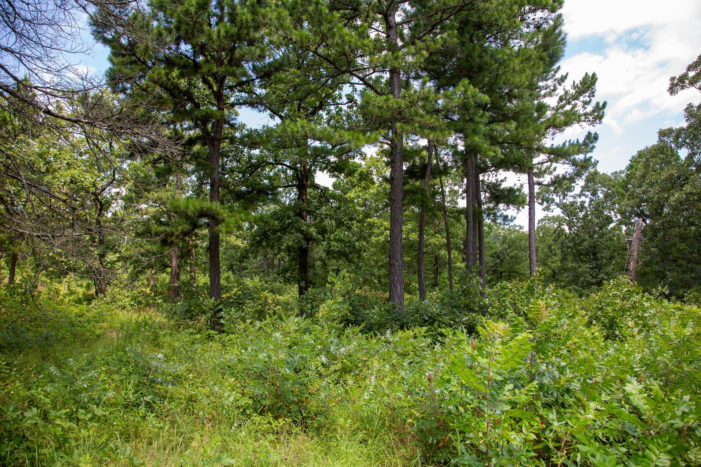 Tyler Stone Ranch Tract 27 photo 12