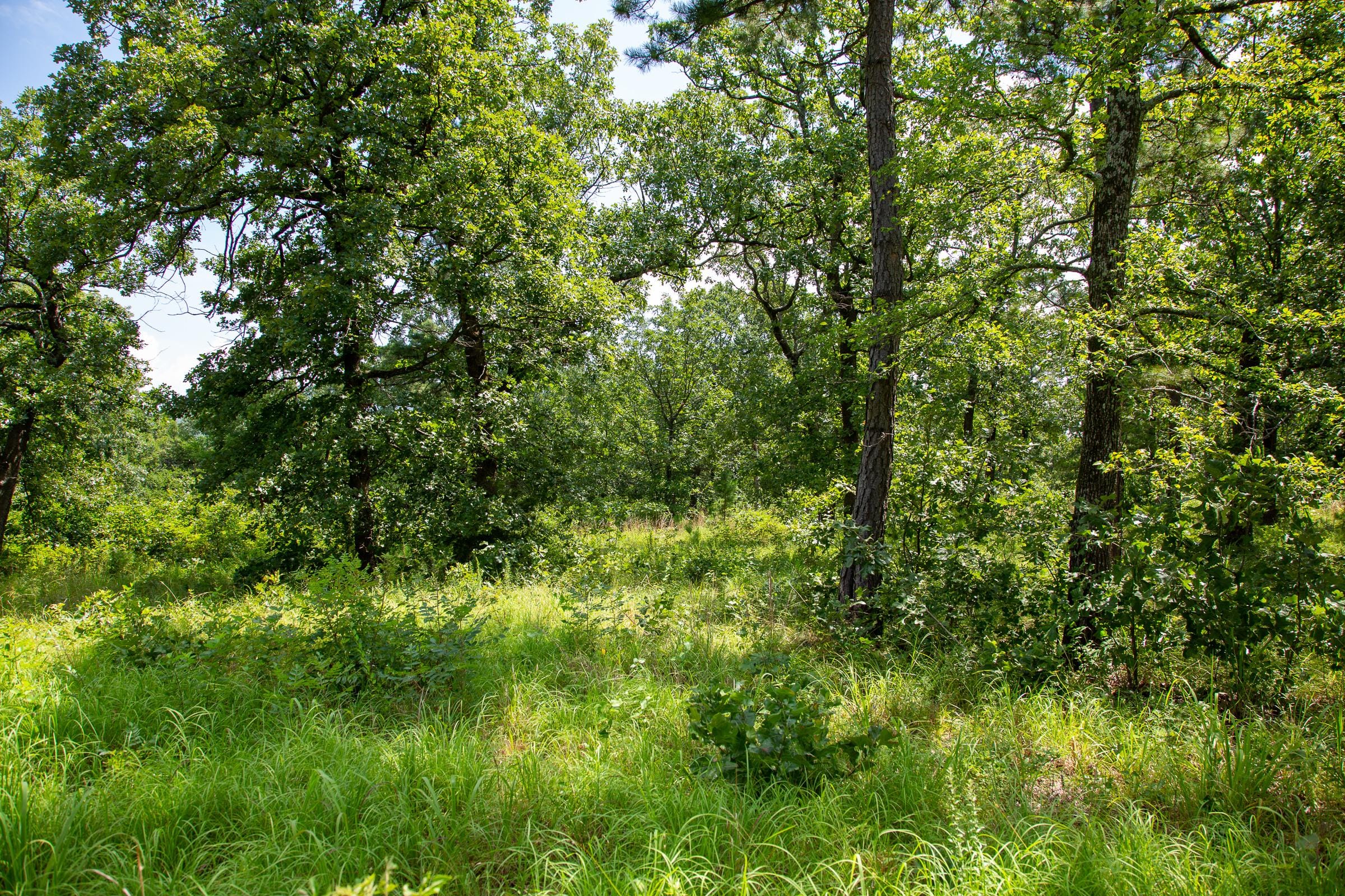 Tyler Stone Ranch Tract 27 photo 13