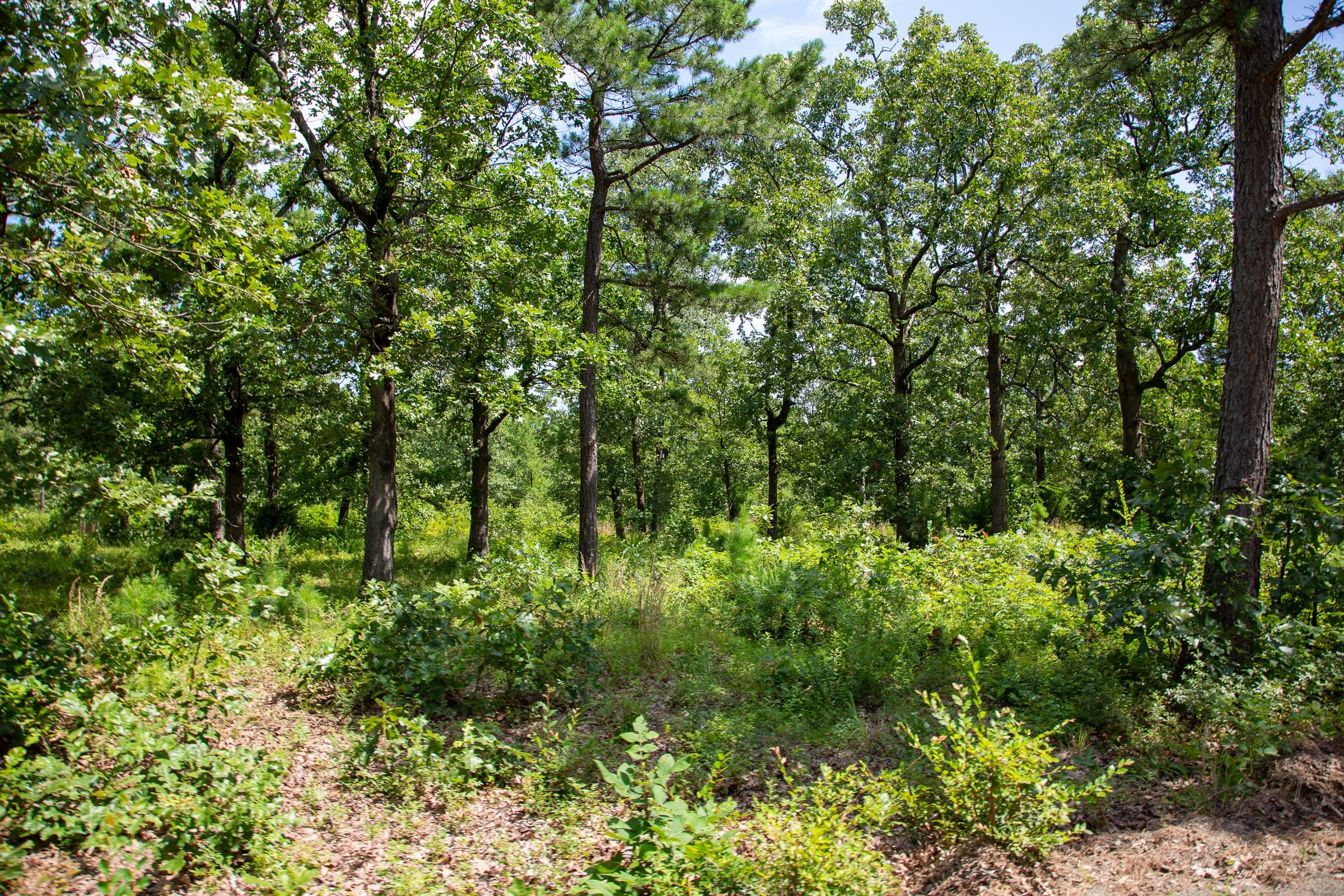 Tyler Stone Ranch Tract 27 photo 14