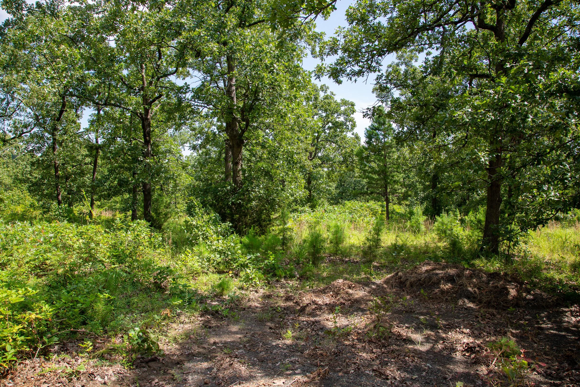 Tyler Stone Ranch Tract 27 photo 15