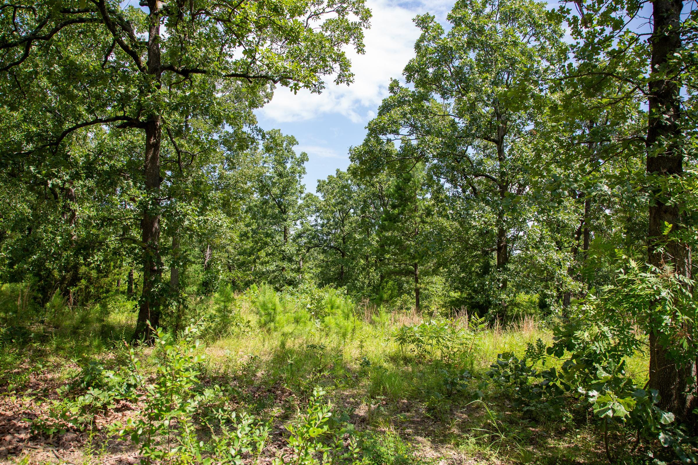 Tyler Stone Ranch Tract 27 photo 16