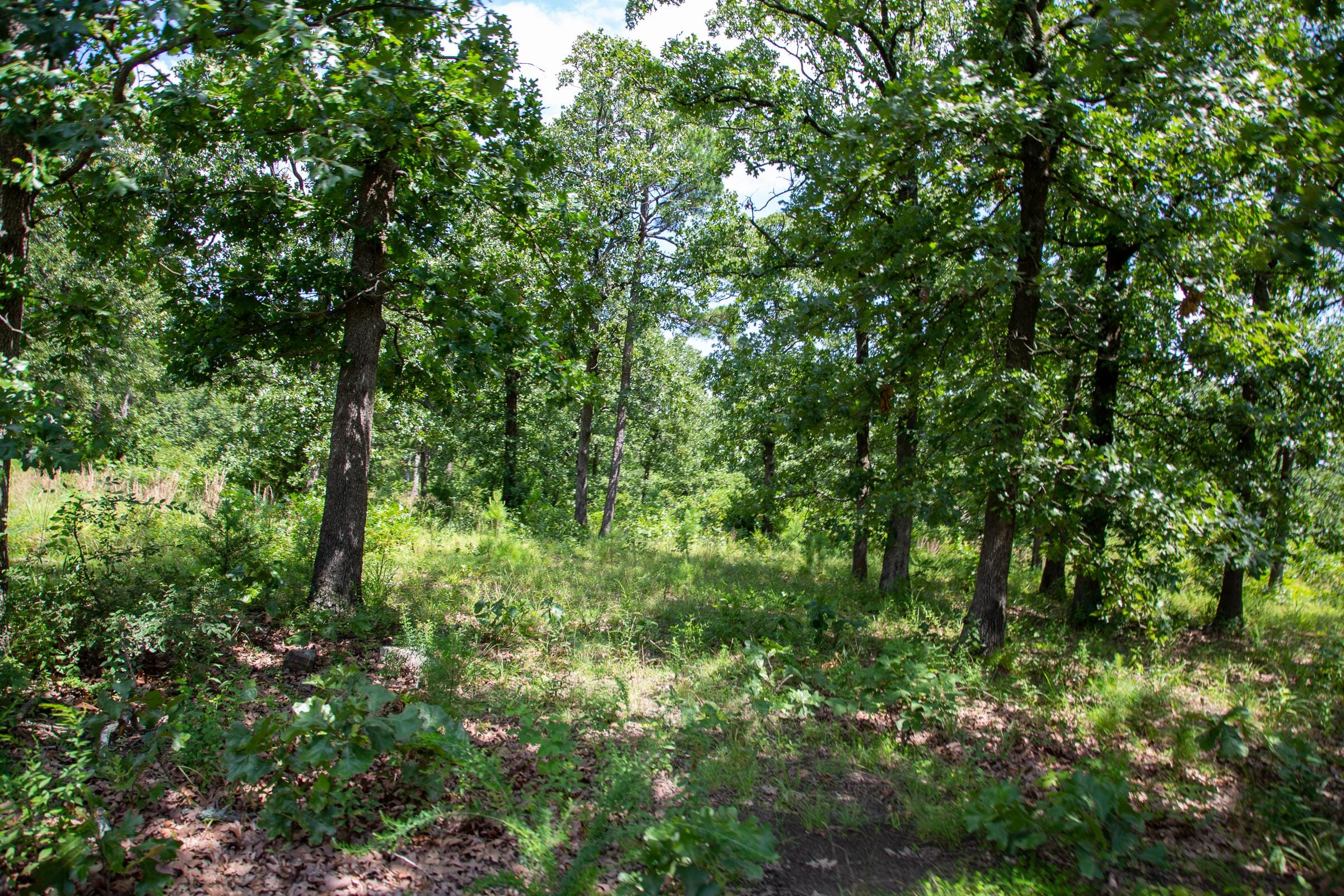 Tyler Stone Ranch Tract 27 photo 17