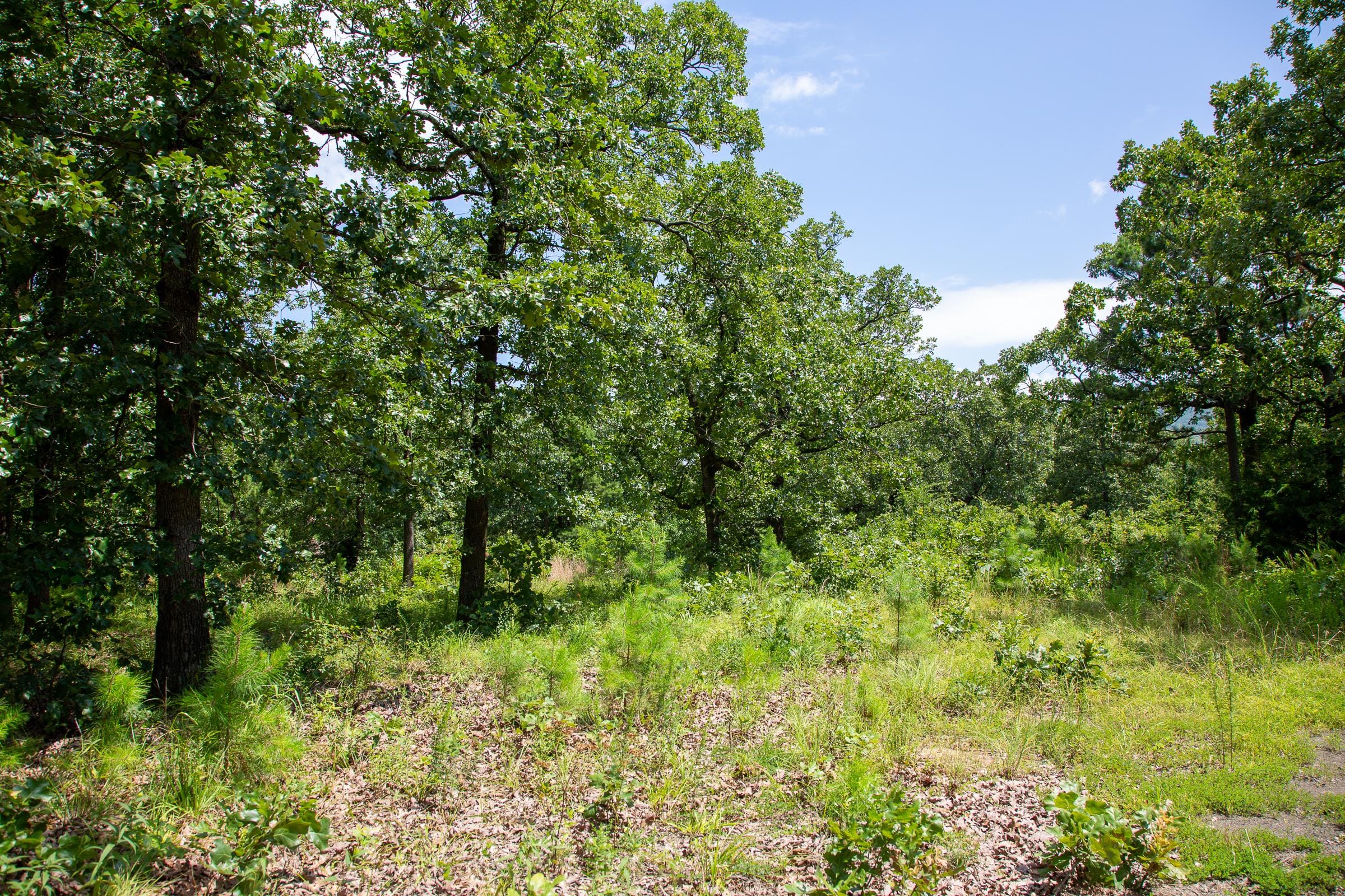 Tyler Stone Ranch Tract 27 photo 18