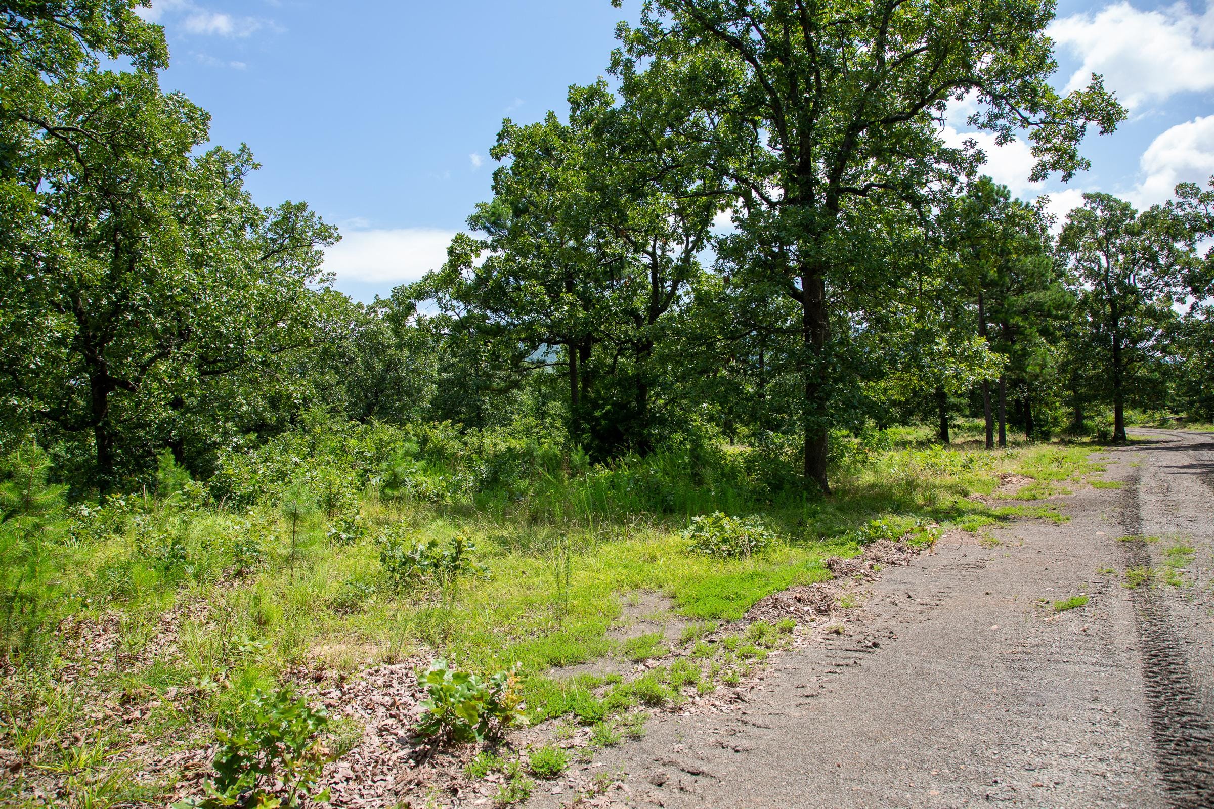 Tyler Stone Ranch Tract 27 photo 19
