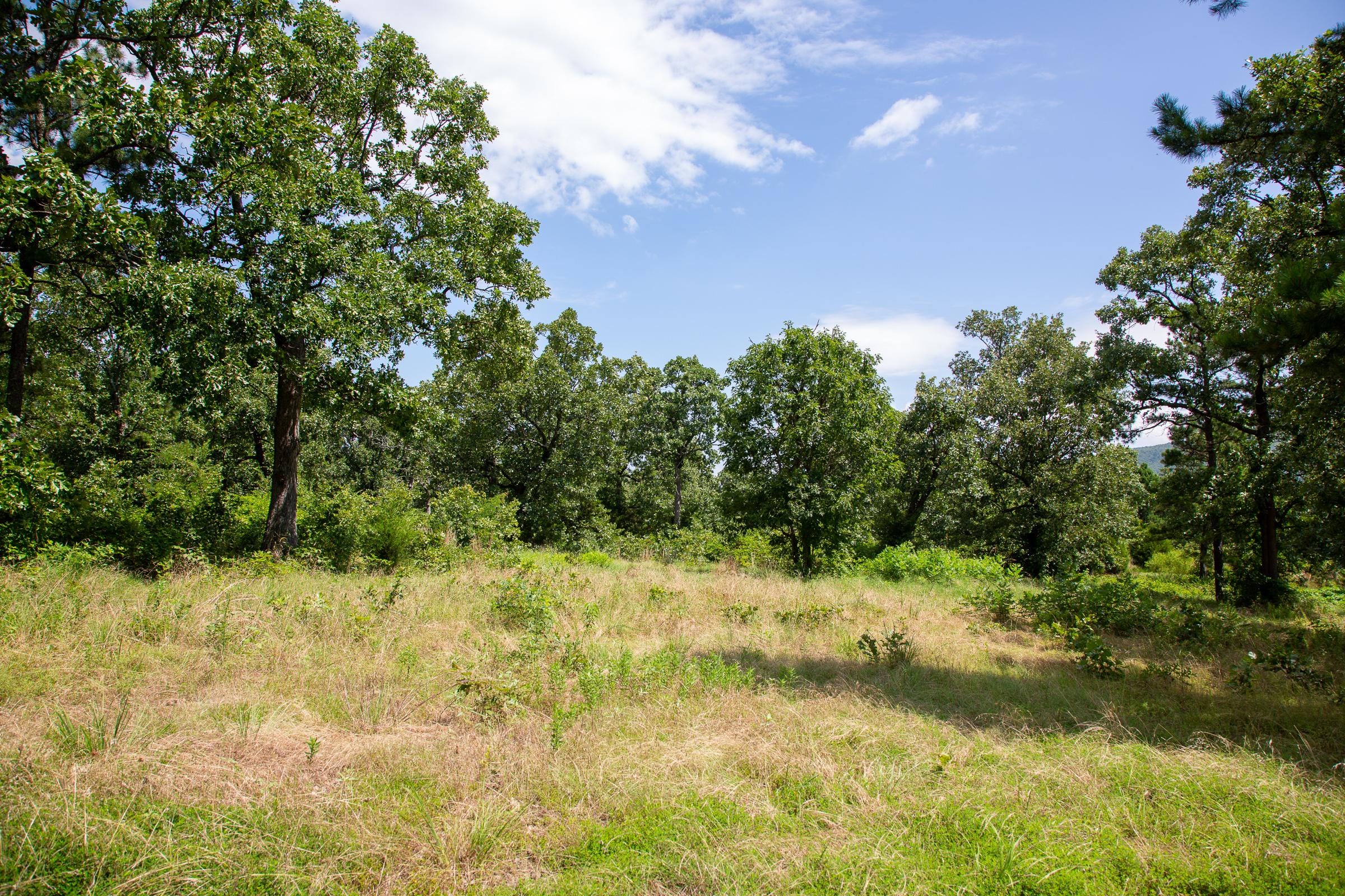 Tyler Stone Ranch Tract 27 photo 20