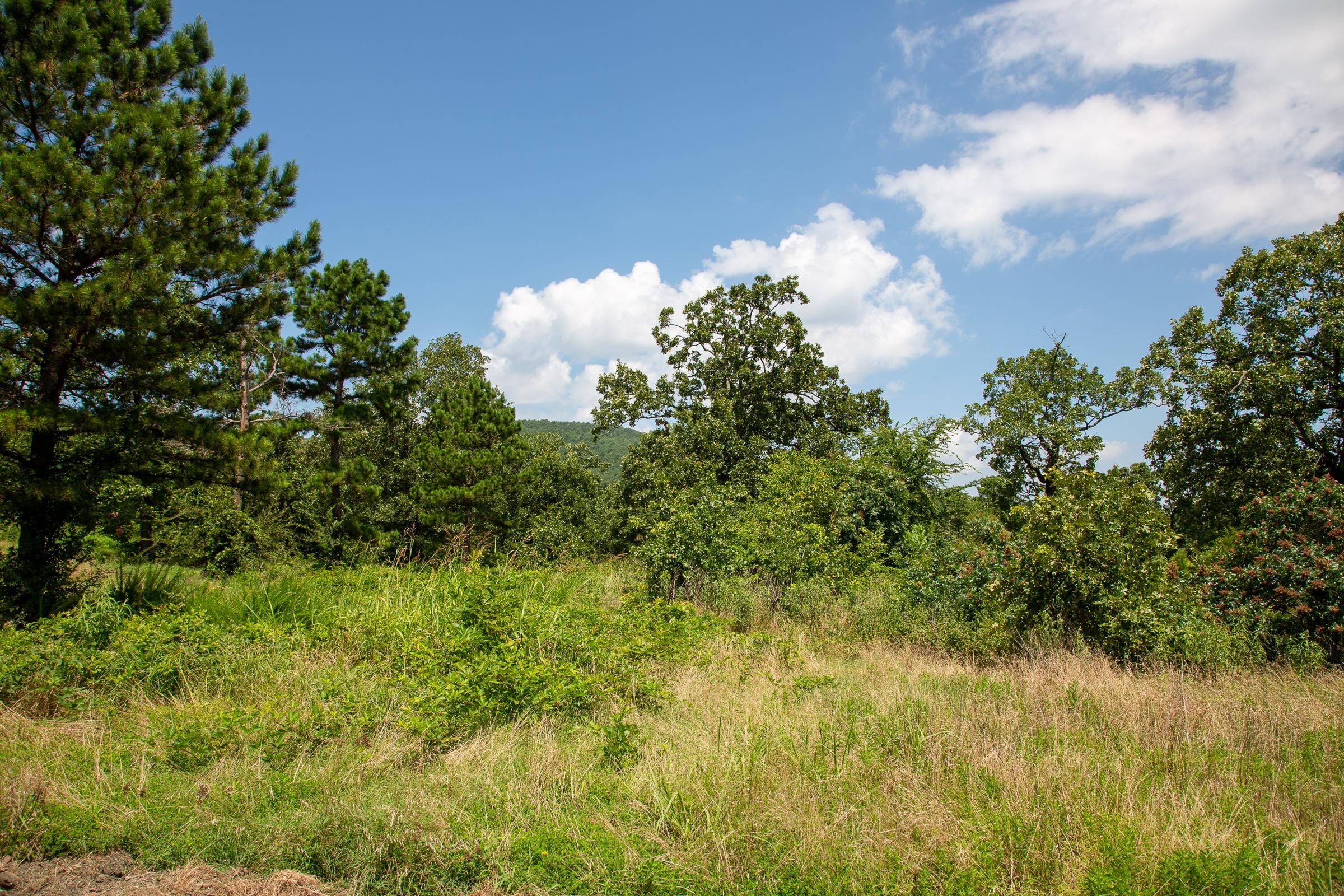 Tyler Stone Ranch Tract 27 photo 22