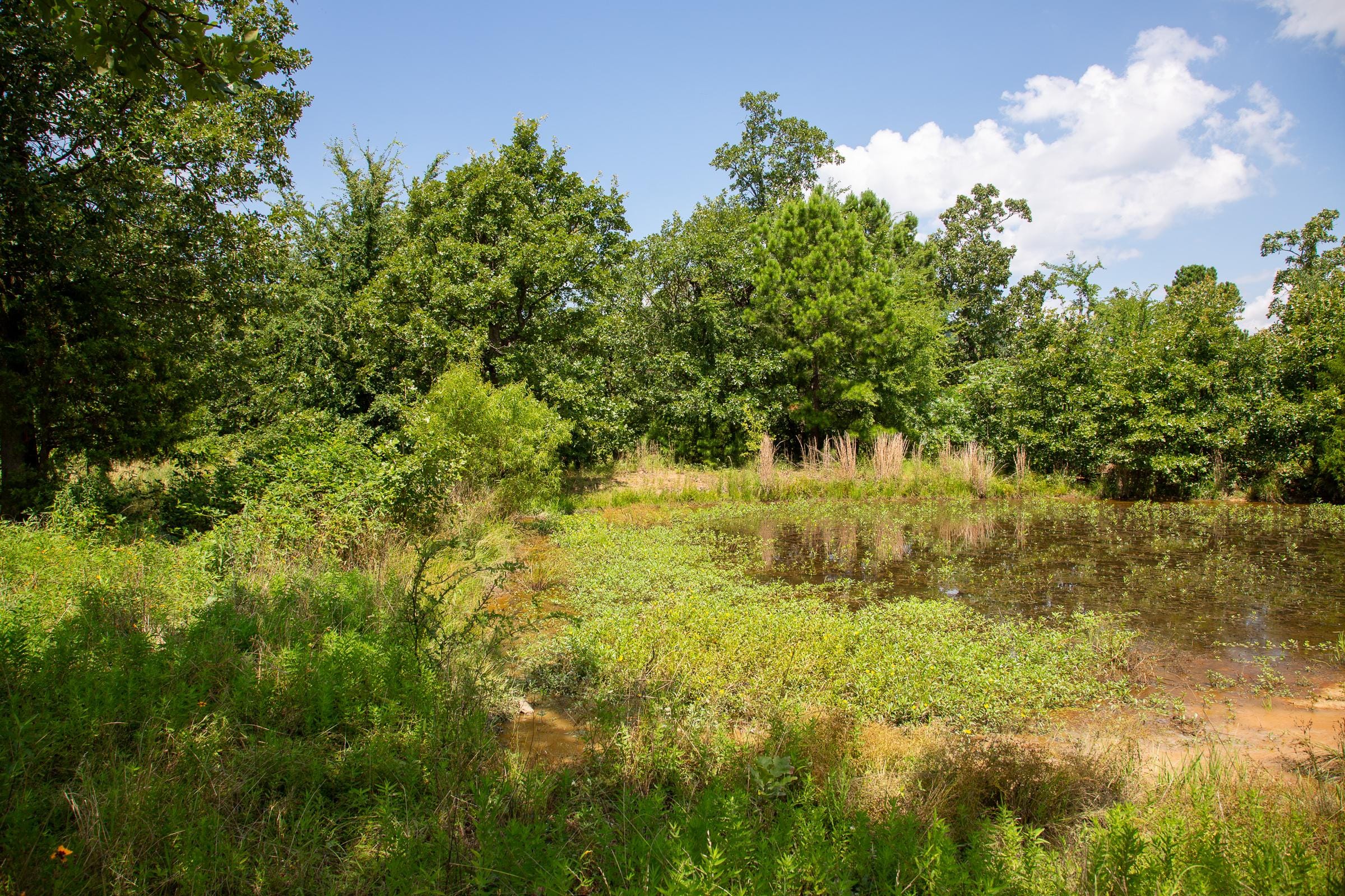 Tyler Stone Ranch Tract 27 photo 5