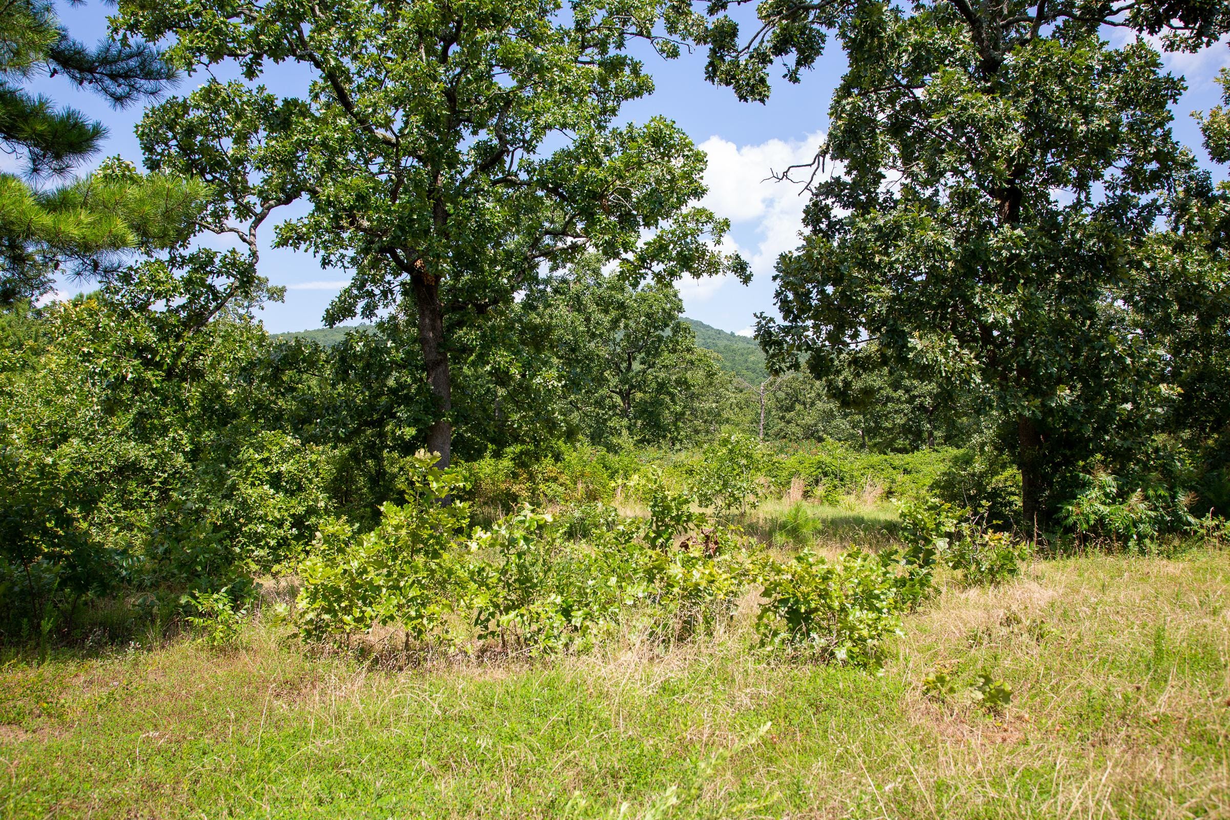 Tyler Stone Ranch Tract 27 photo 23