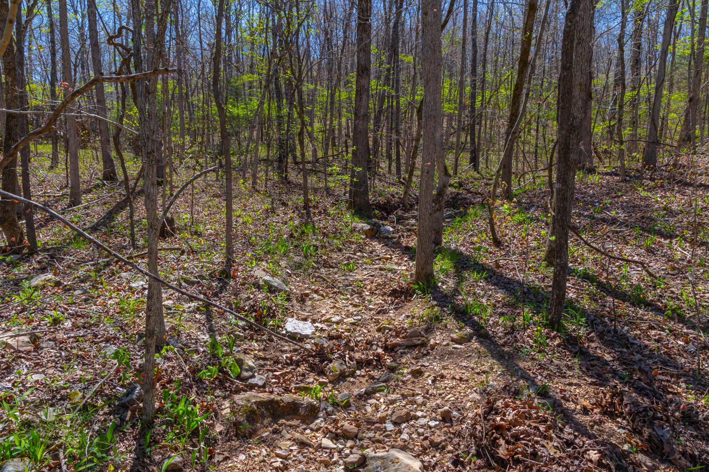 Lazybrook Tract 12 photo 6