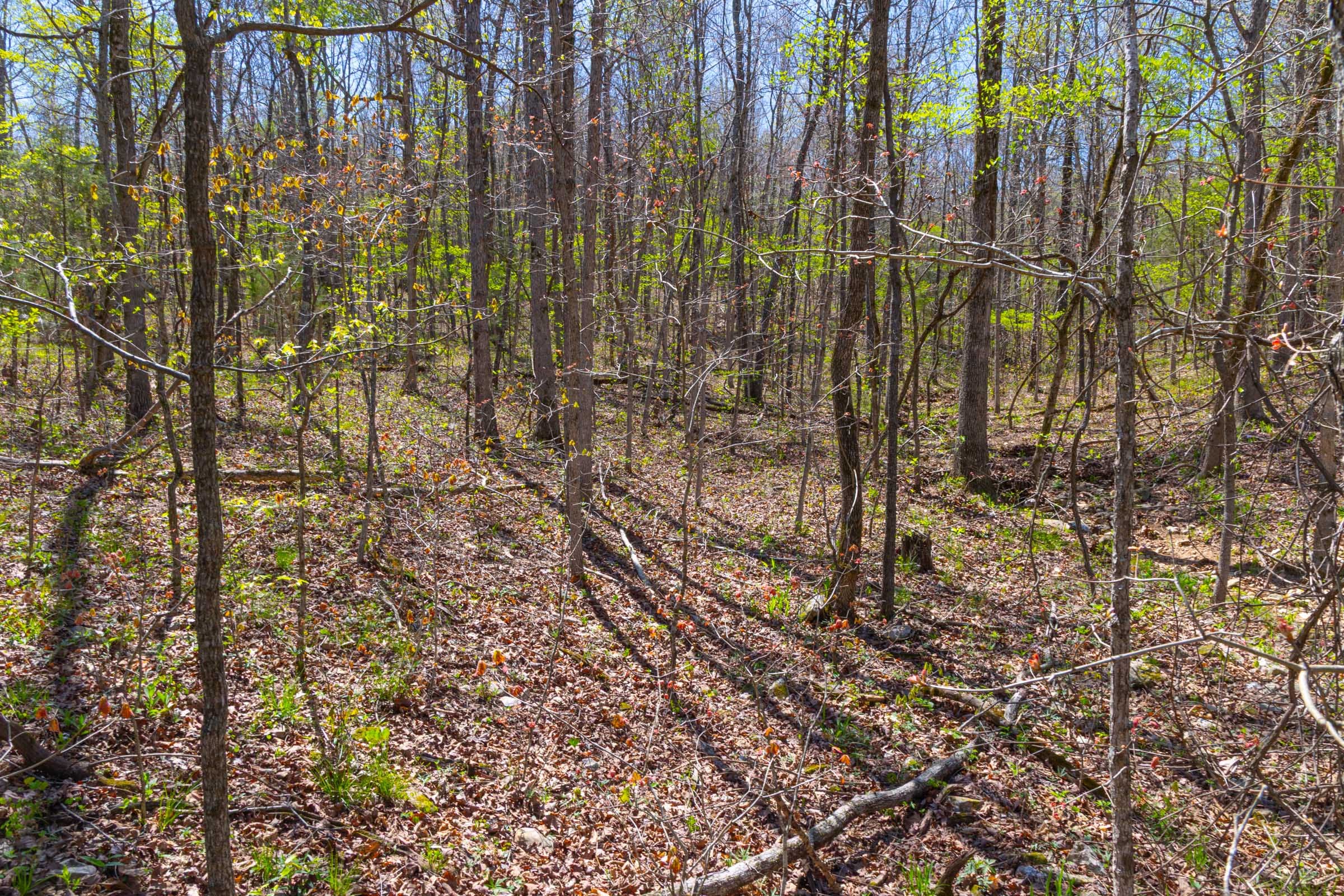 Lazybrook Tract 12 photo 8