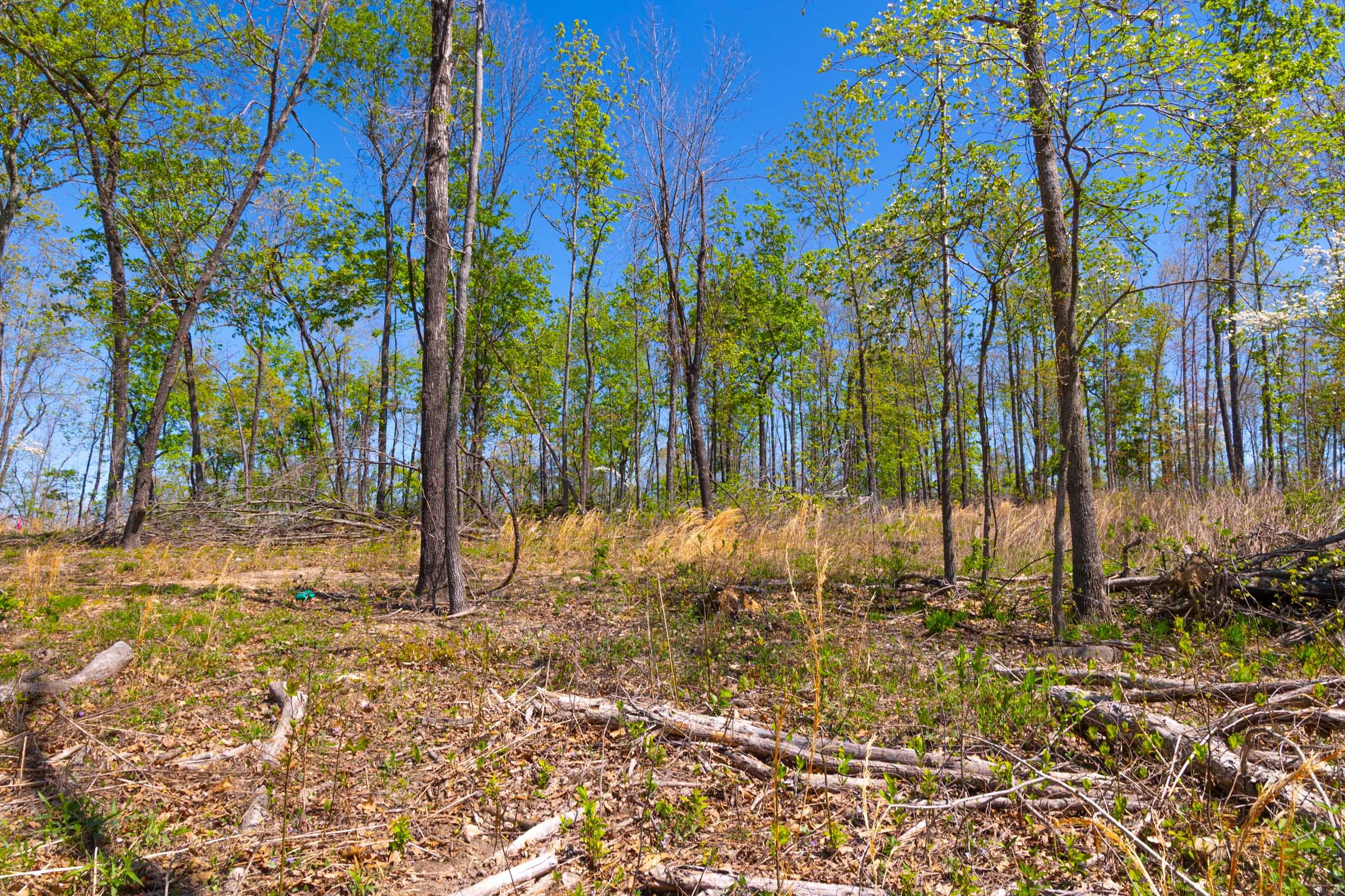 Lazybrook Tract 12 photo 9