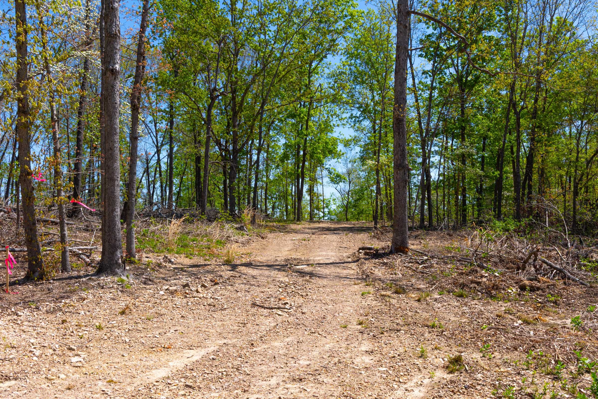 Lazybrook Tract 12 photo 3