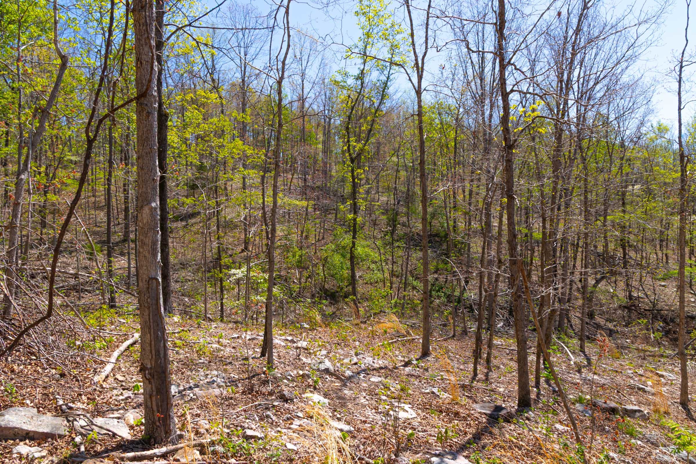 Lazybrook Tract 12 photo 13