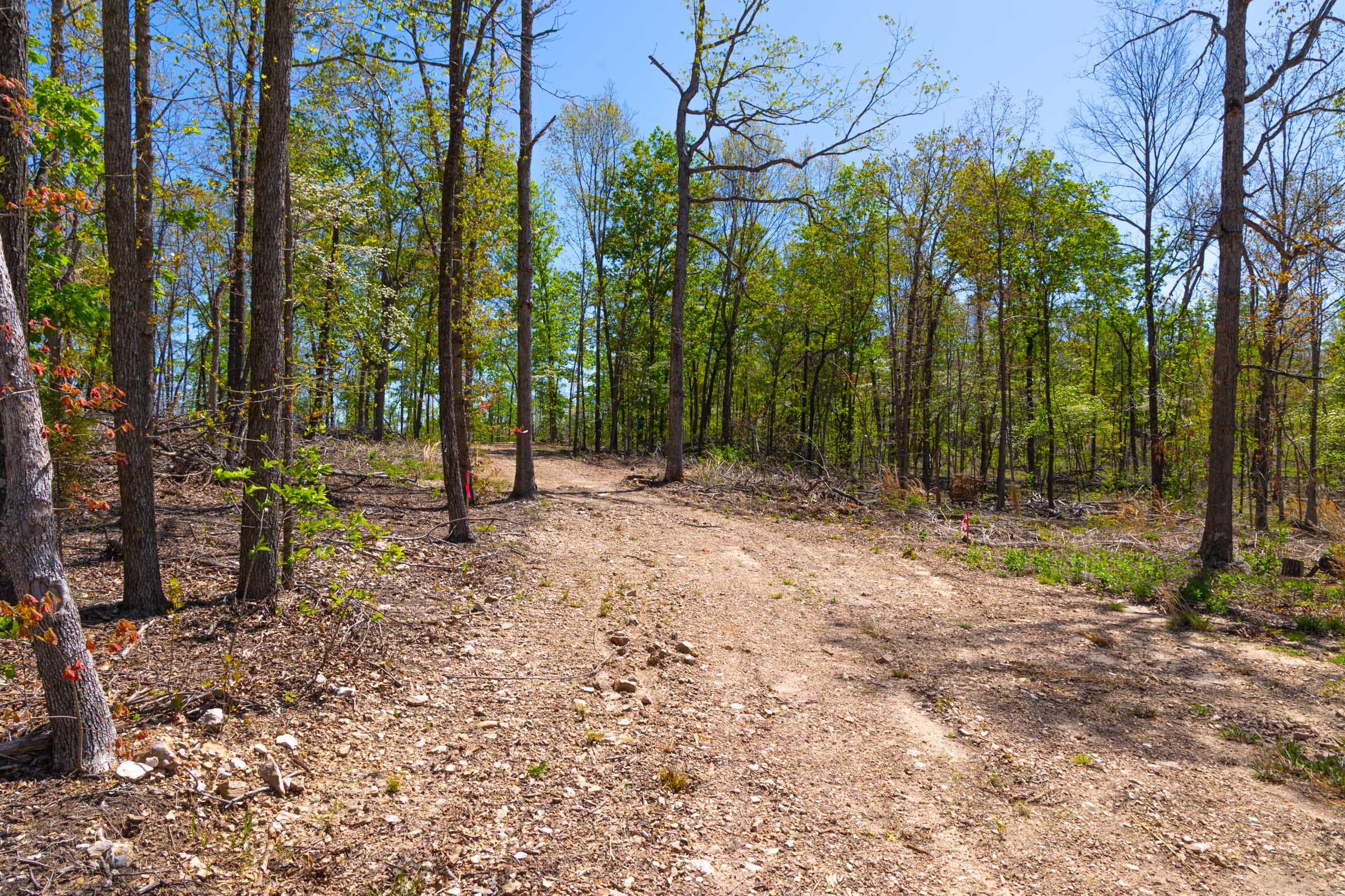 Lazybrook Tract 12 photo 2