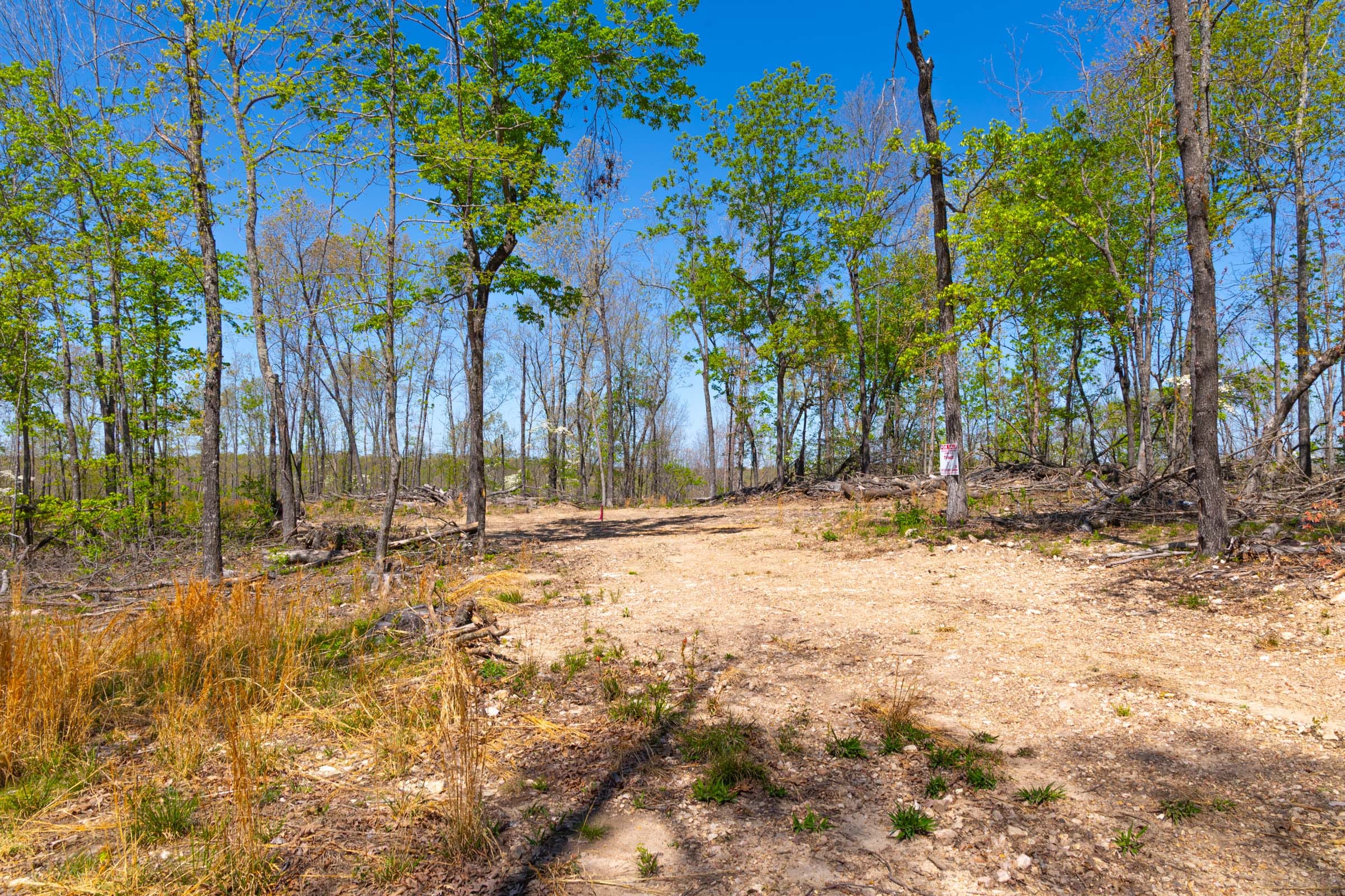 Lazybrook Tract 12 photo 5