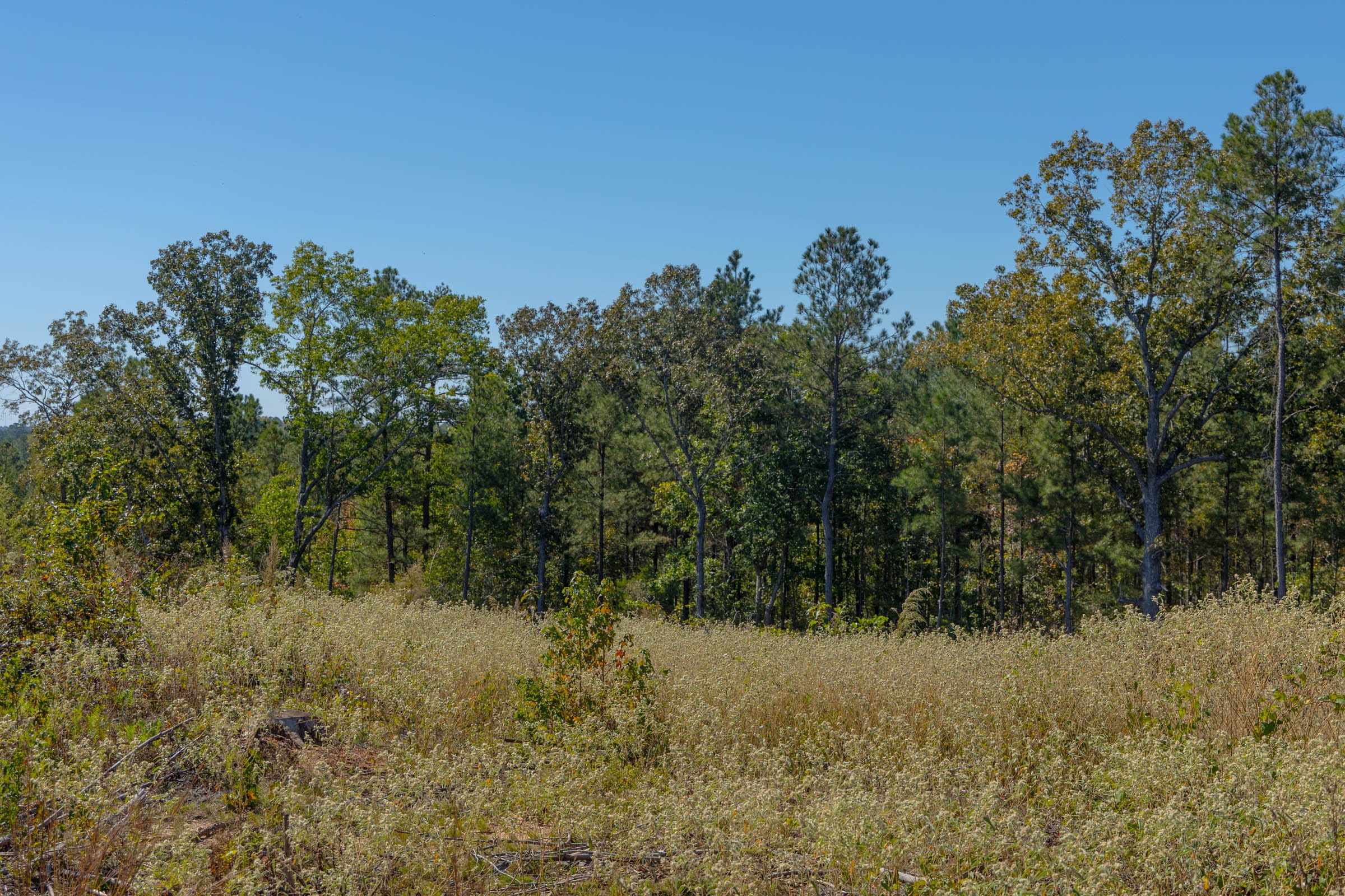 Meyer’s Ridge Tract 41 photo 6